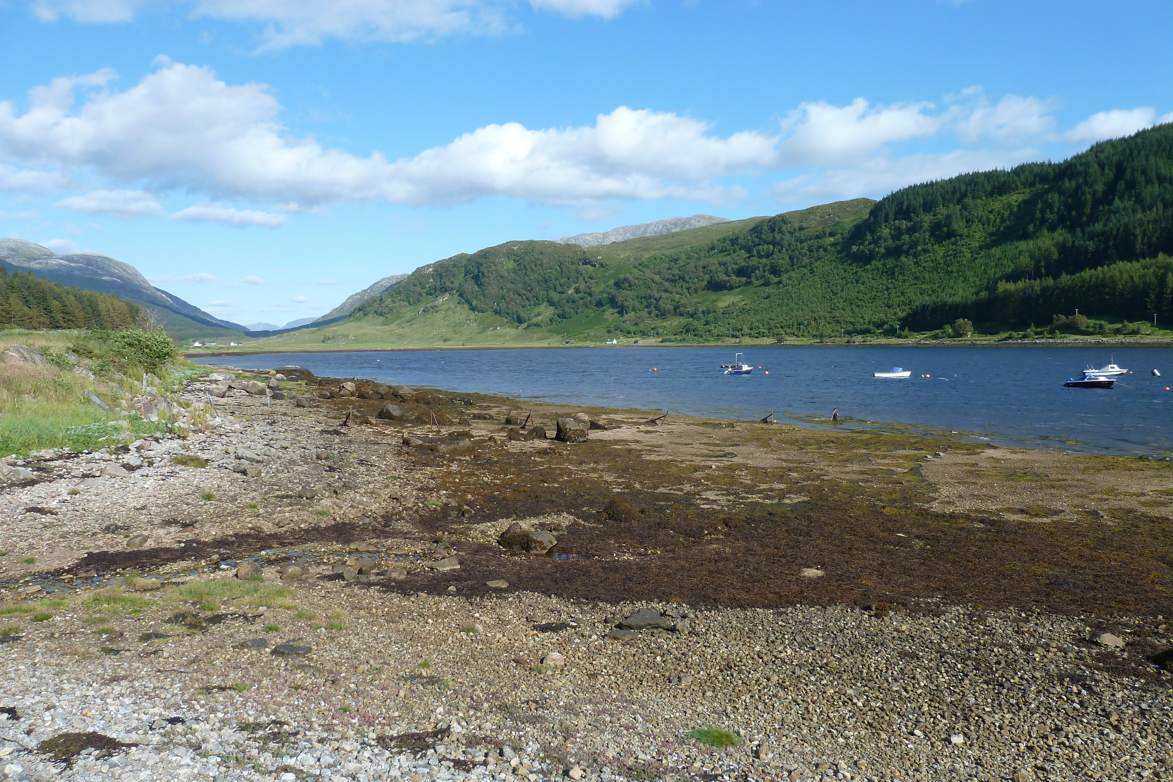 照片 英国(United Kingdom) 苏格兰(Scotland) 林尼湖(Loch Linnhe) 2011-07 89