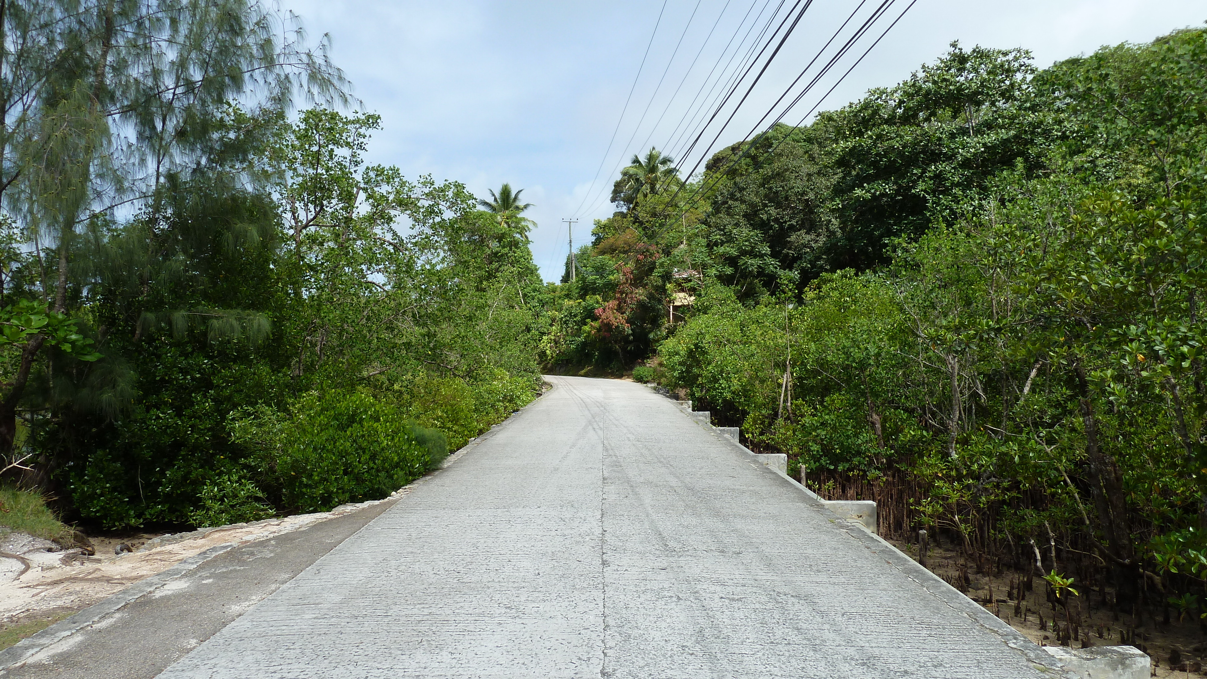 照片 塞舌尔(Seychelles) 马埃岛(Mahe) 2011-10 49