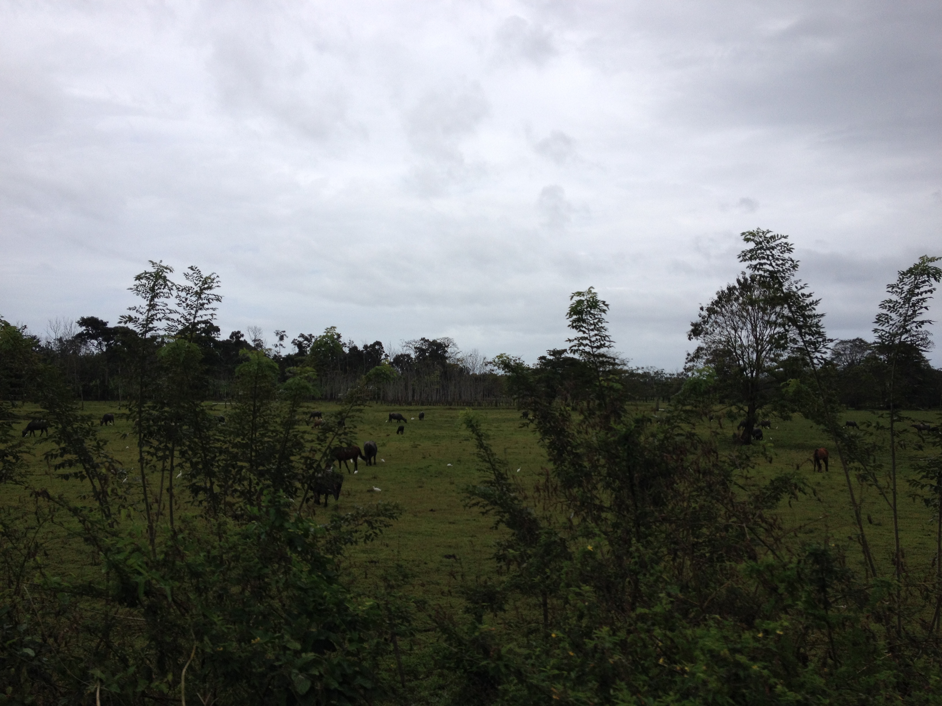 照片 巴拿马(Panama) 戴维至博卡斯德尔托罗(David to Bocas del toro) 2015-03 73