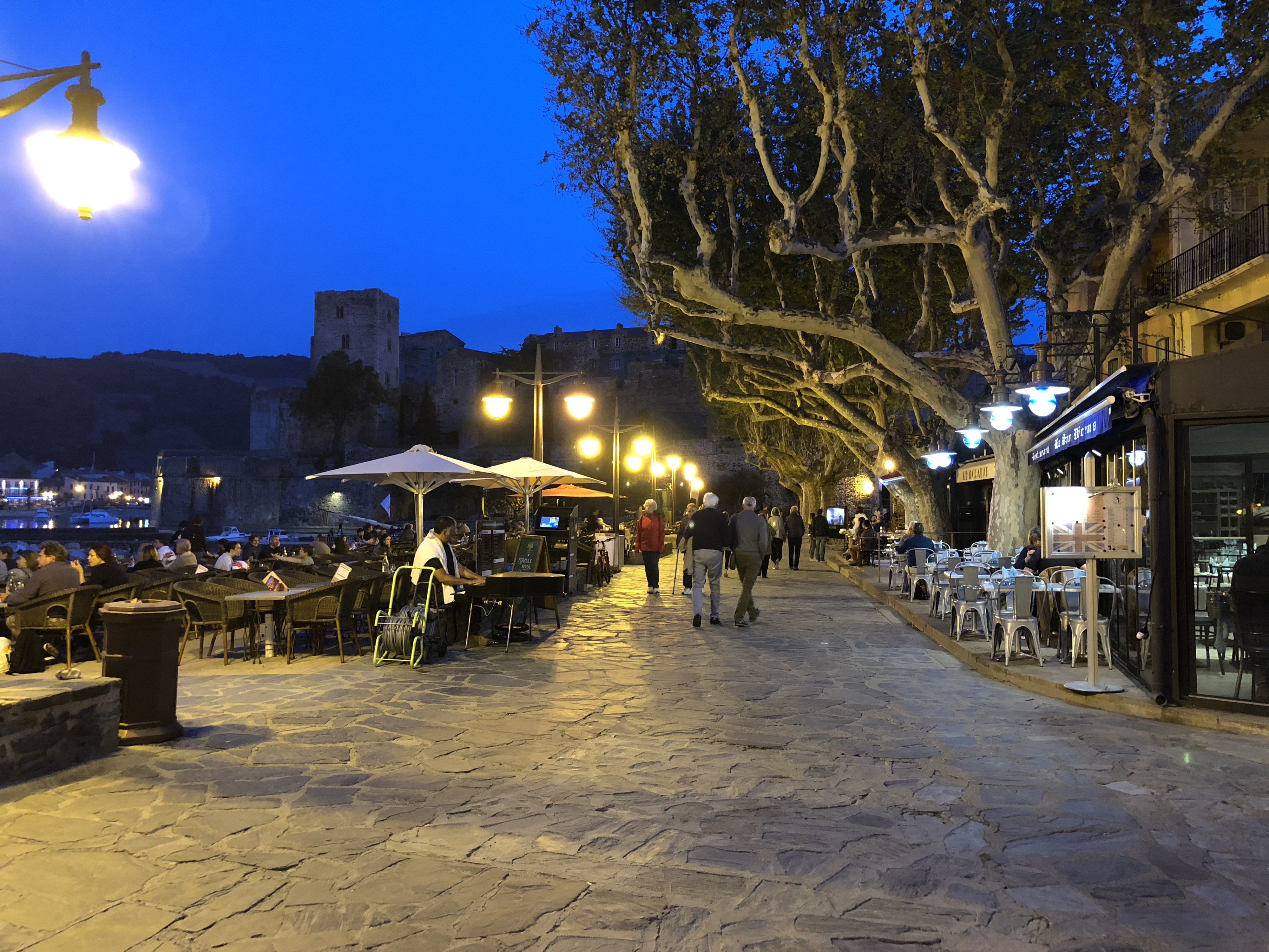照片 法国(France) 科利乌尔(Collioure) 2018-04 216