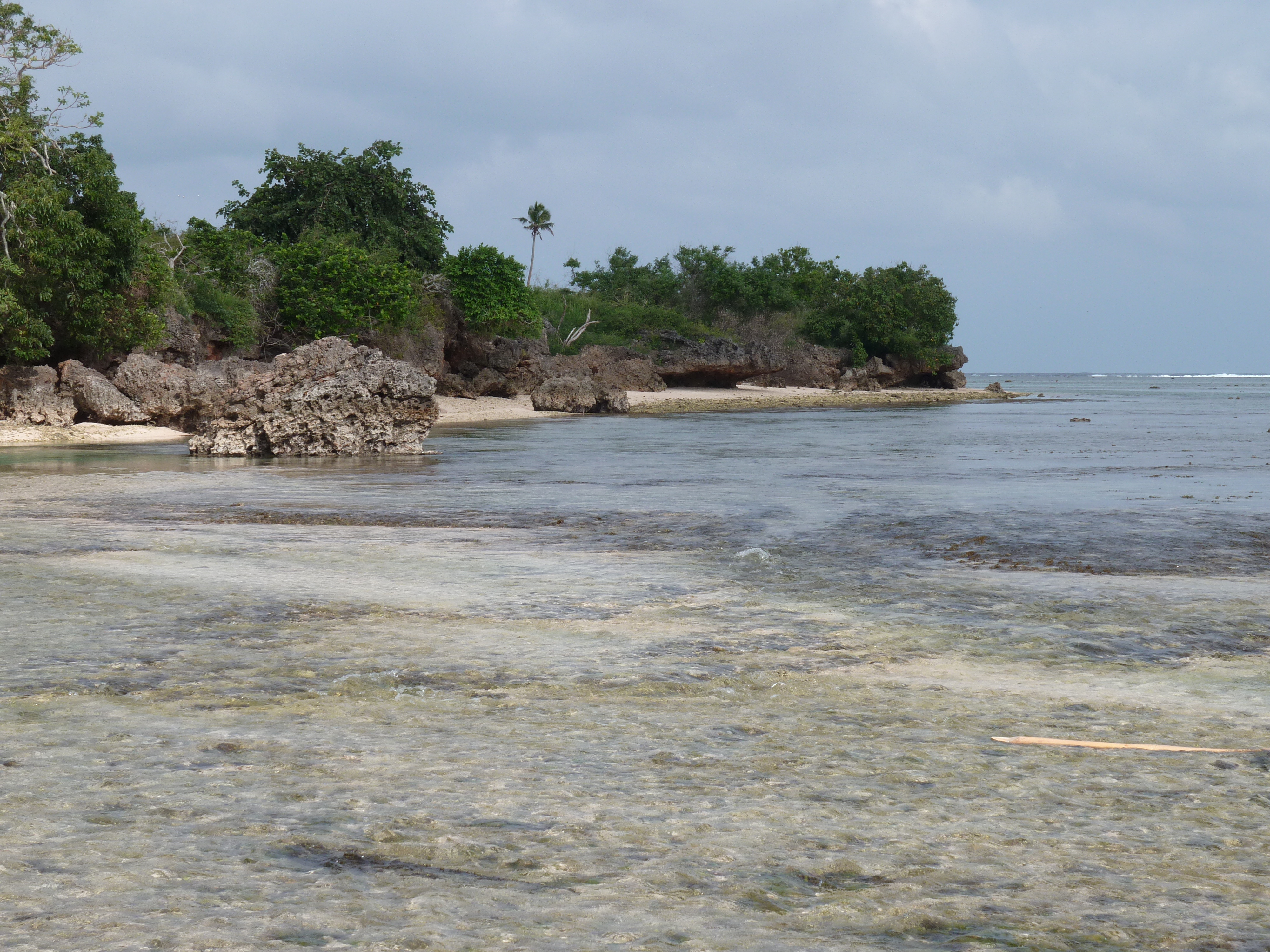 照片 斐济(Fiji) 楠迪至纳塔多拉公路(Nadi to Natadola road) 2010-05 43