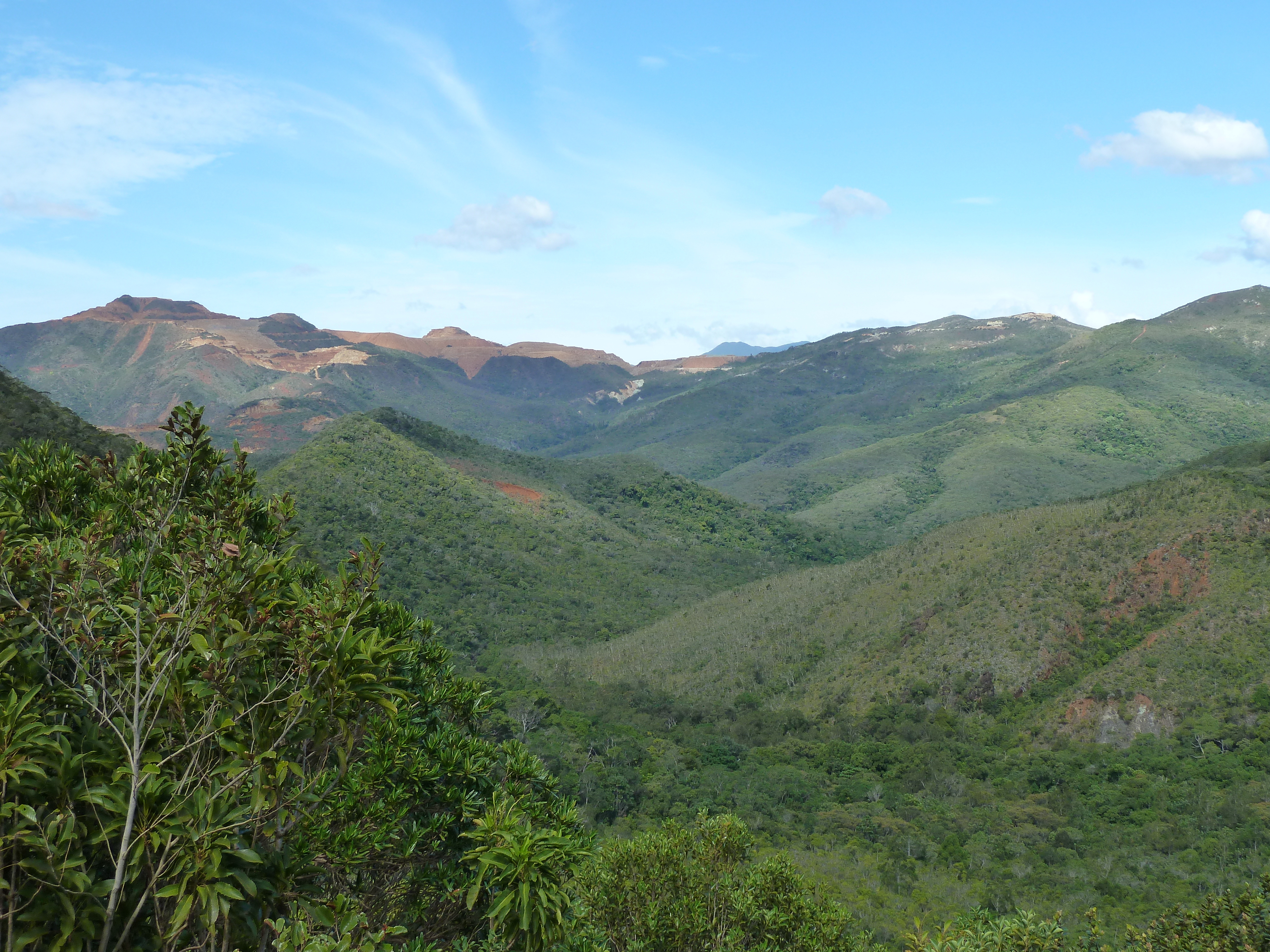照片 新喀里多尼亚(New Caledonia) 蒂奥至卡纳拉公路(Thio to Canala road) 2010-05 51