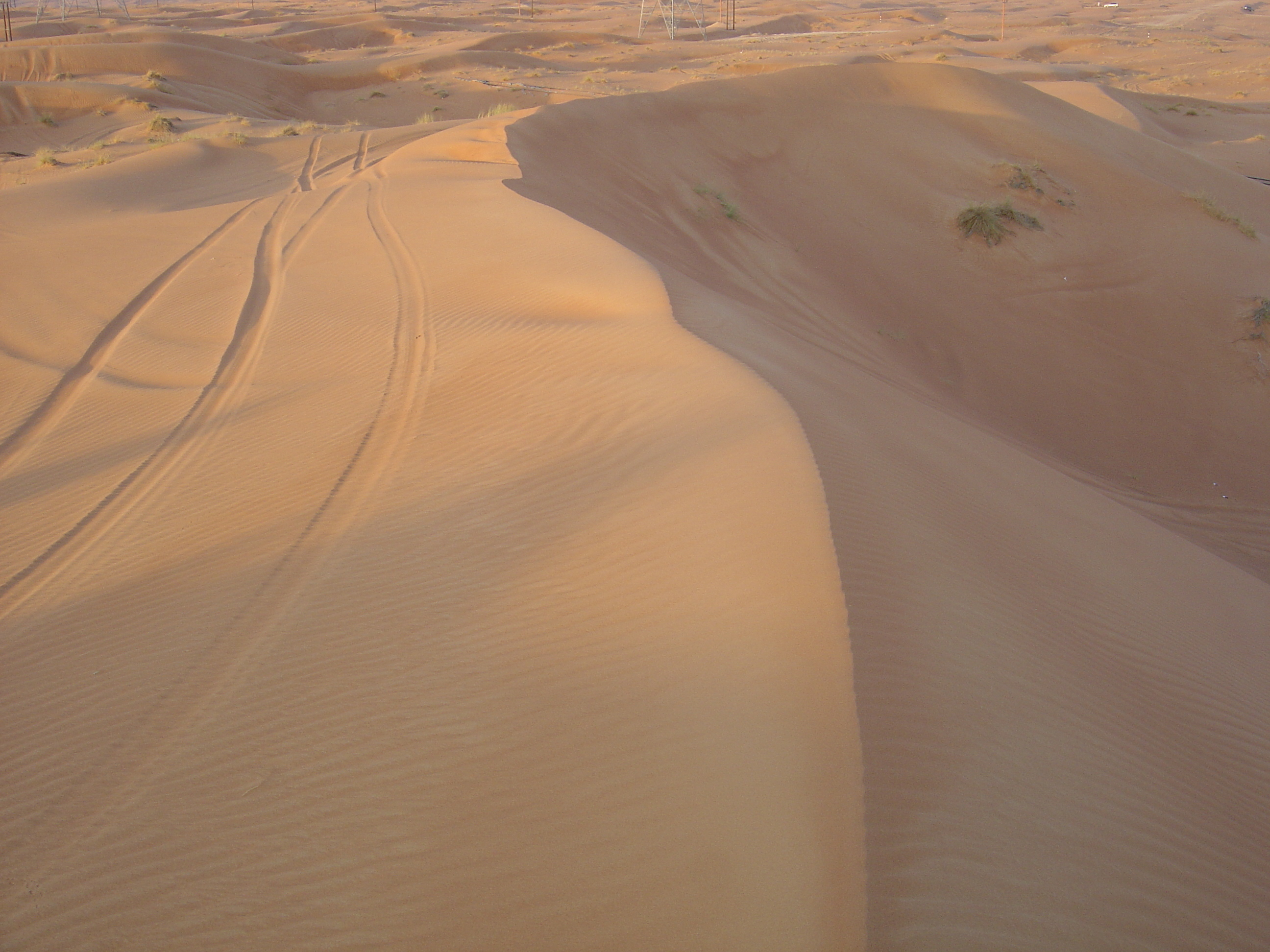 照片 阿联酋(United Arab Emirates) 艾因(Al Ain) 沙漠(Desert) 2005-11 7