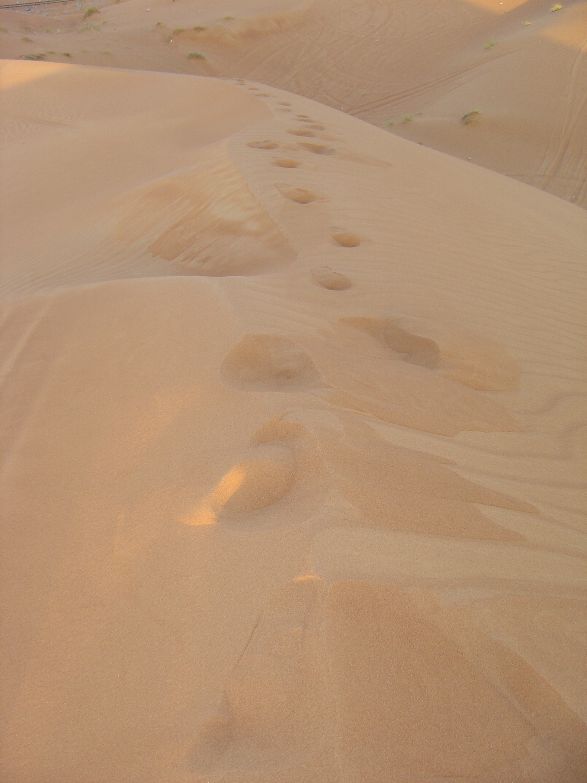照片 阿联酋(United Arab Emirates) 艾因(Al Ain) 沙漠(Desert) 2005-11 1