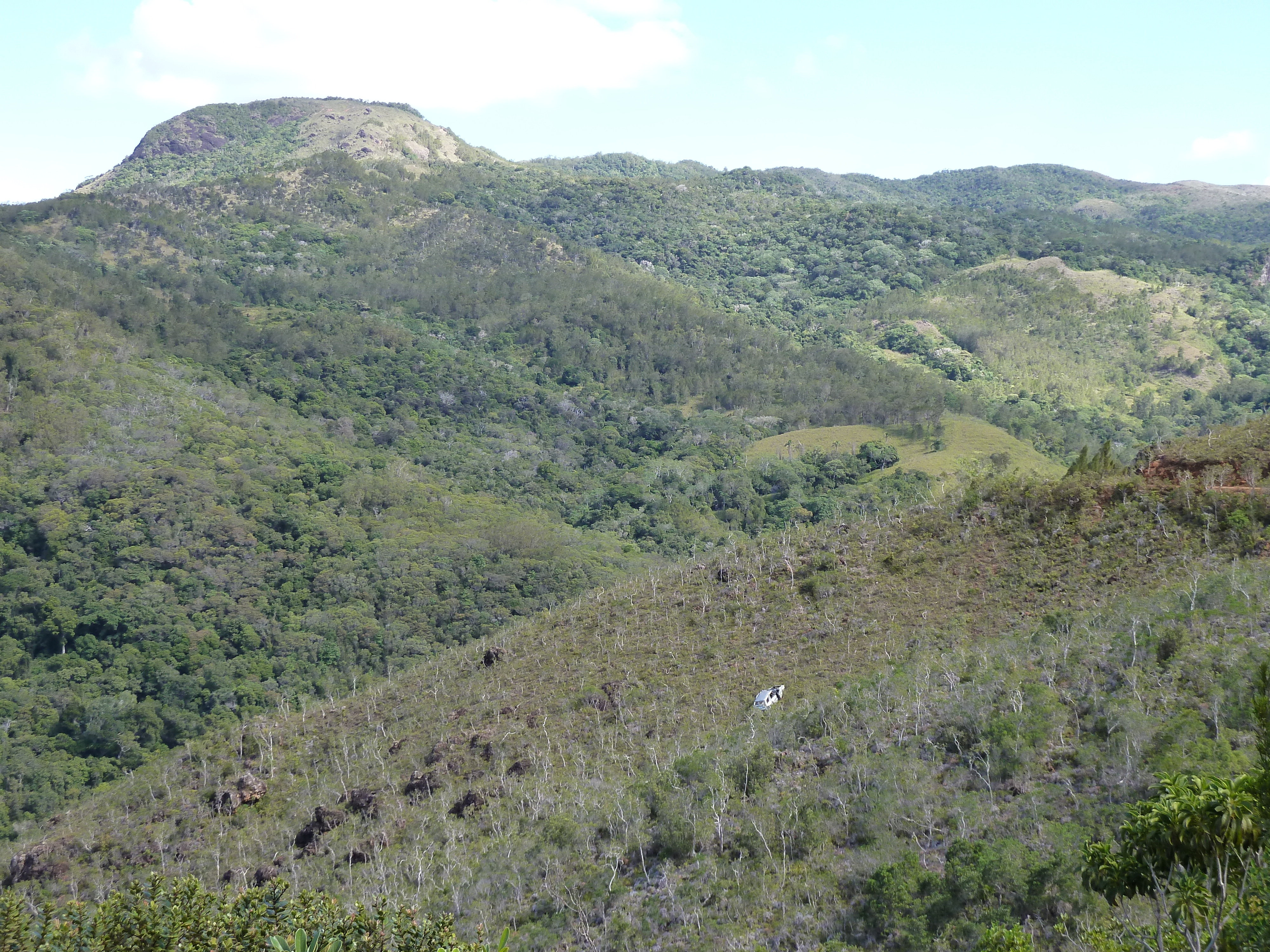 照片 新喀里多尼亚(New Caledonia) 蒂奥至卡纳拉公路(Thio to Canala road) 2010-05 53