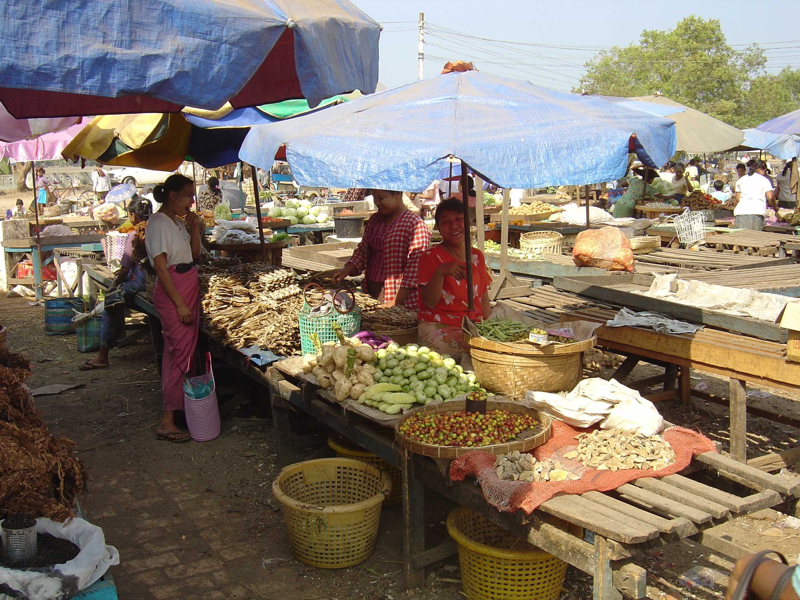 照片 缅甸(Myanmar) 土瓦(Dawei (TAVOY)) 2005-01 56
