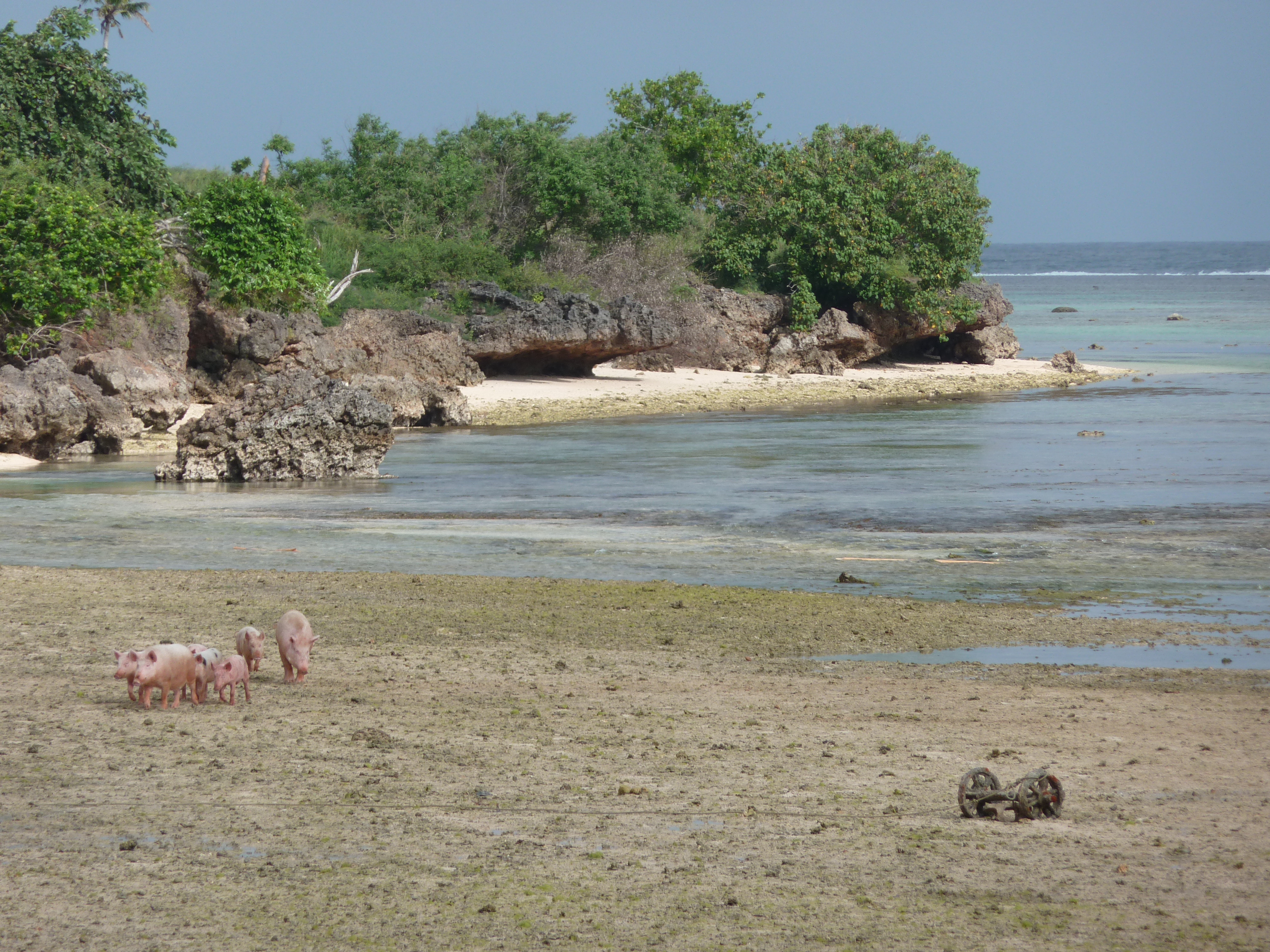 照片 斐济(Fiji) 2010-05 73