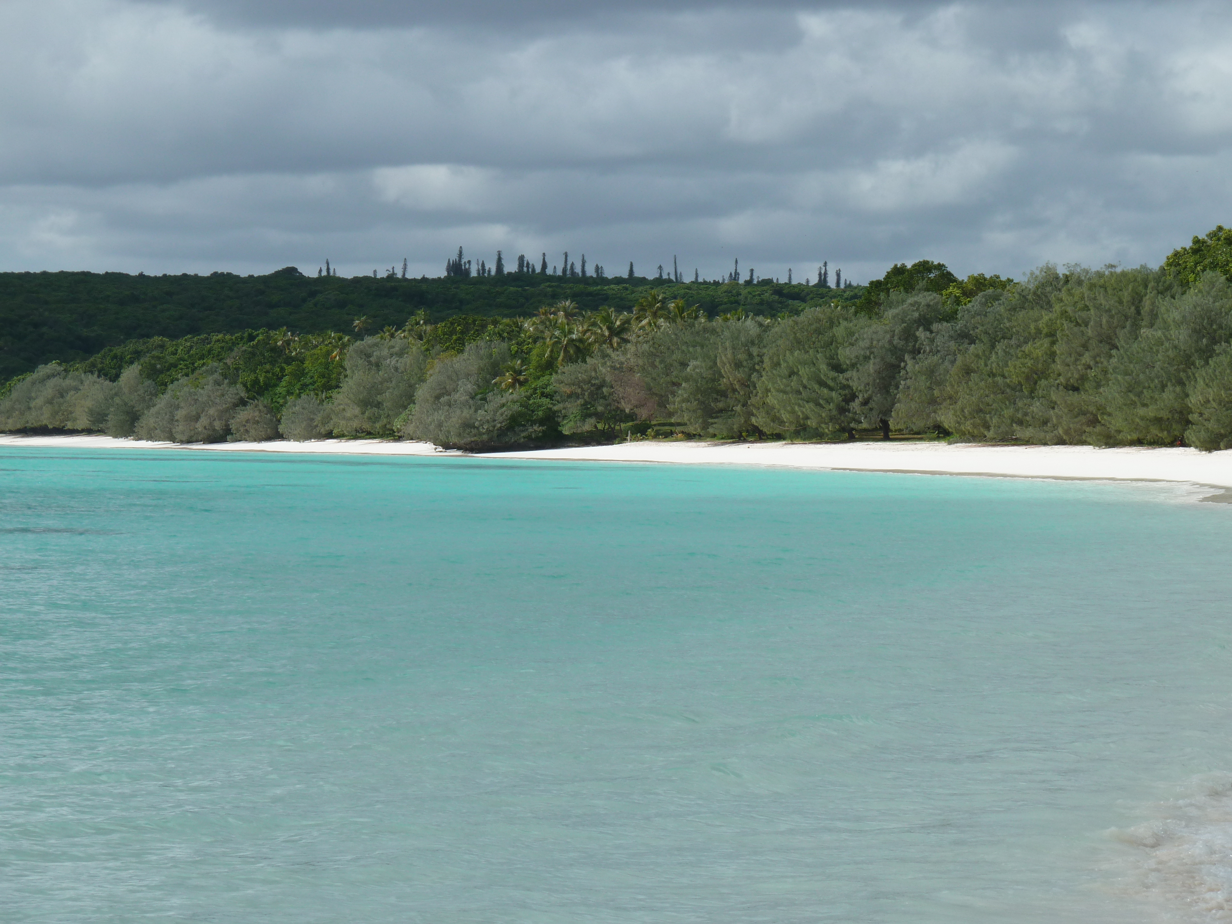 照片 新喀里多尼亚(New Caledonia) 利富岛(Lifou) 卢恩戈尼海滩(Luengoni Beach) 2010-05 25