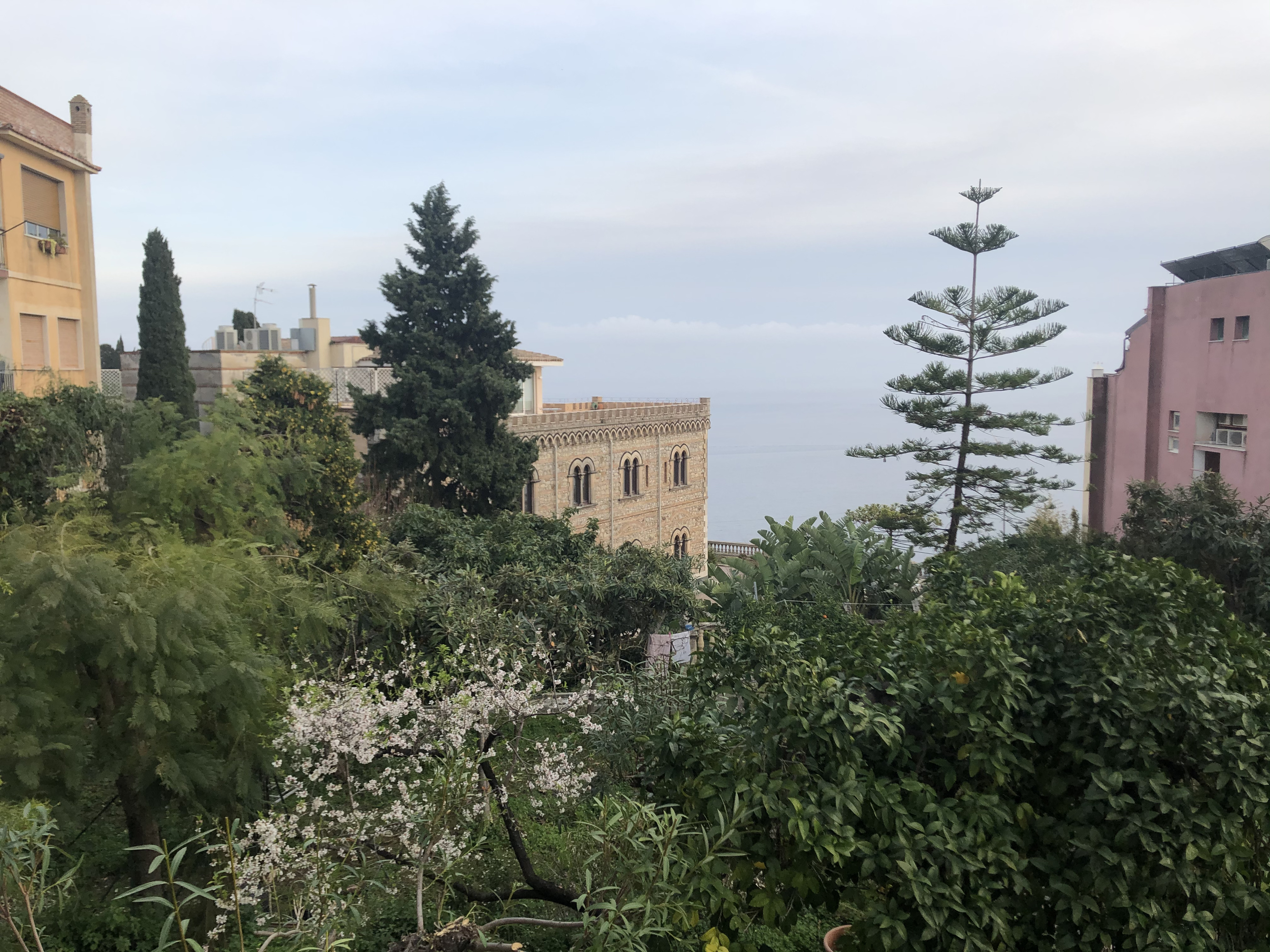 照片 意大利(Italy) 西西里岛(Sicily) 陶尔米纳(Taormina) 2020-02 151
