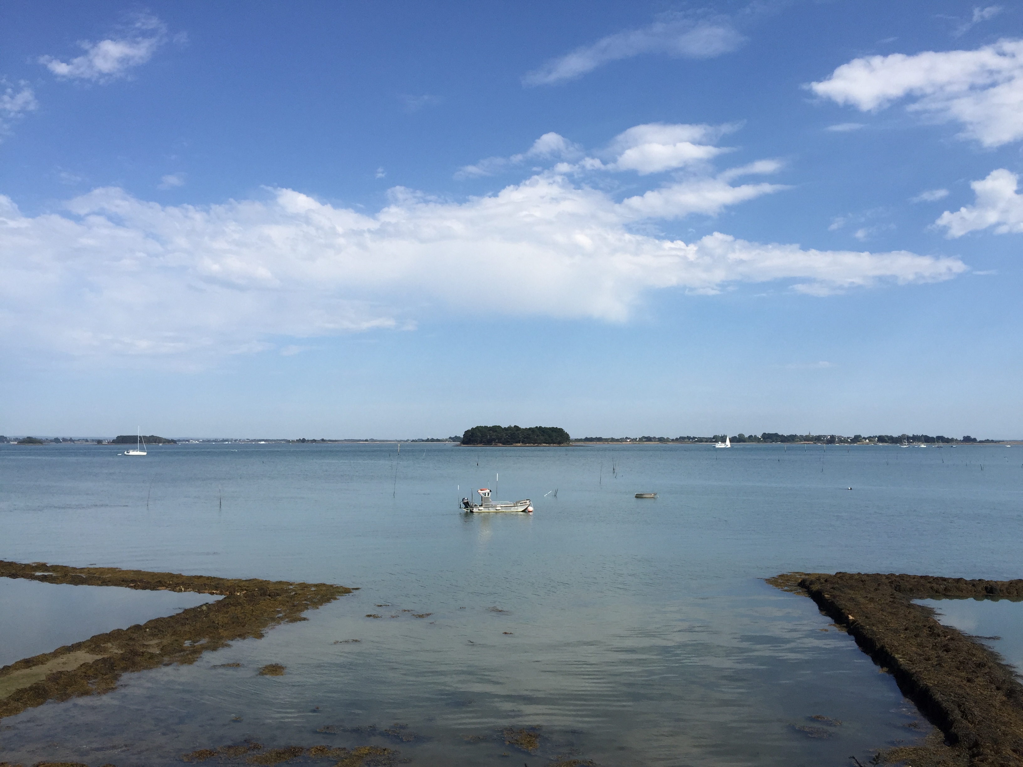 照片 法国(France) 僧侣岛(Ile-aux-Moines) 2016-08 70
