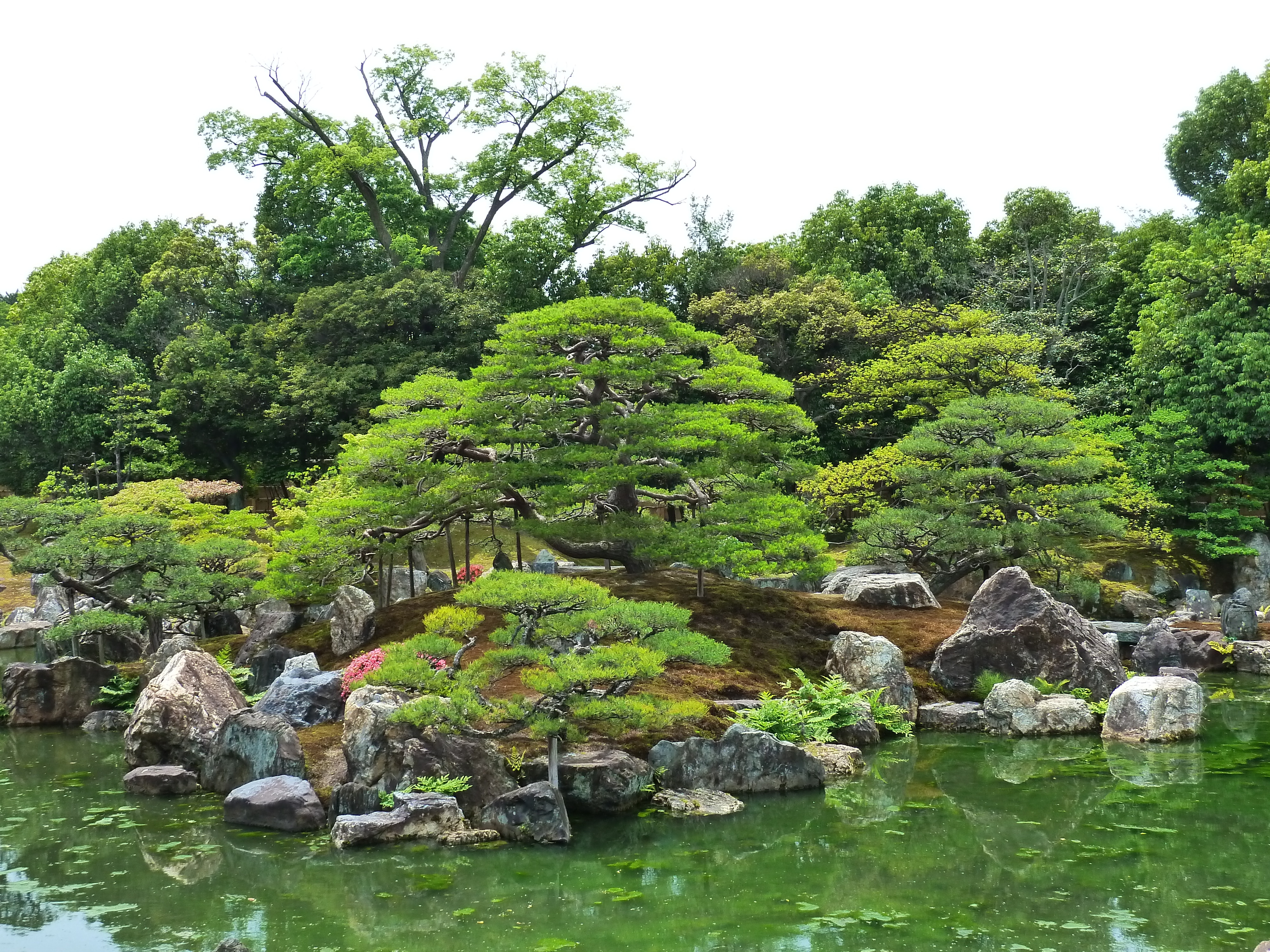 照片 日本(Japan) 2010-06 31