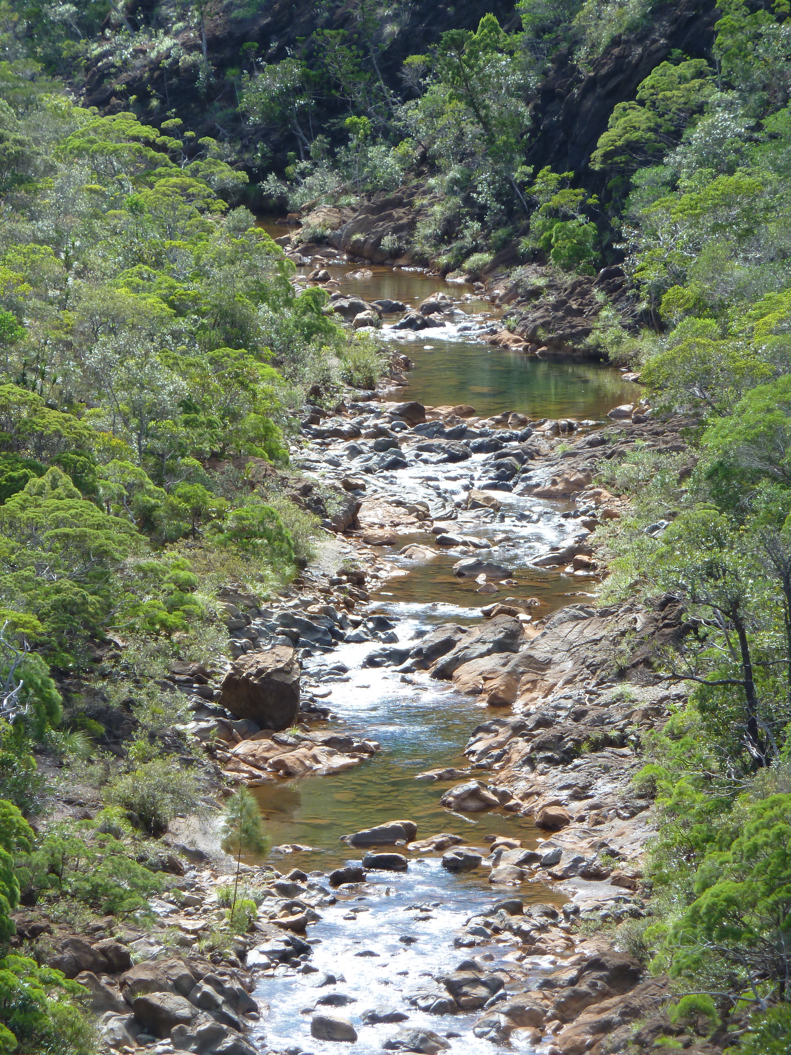 照片 新喀里多尼亚(New Caledonia) 蒂奥至卡纳拉公路(Thio to Canala road) 2010-05 23