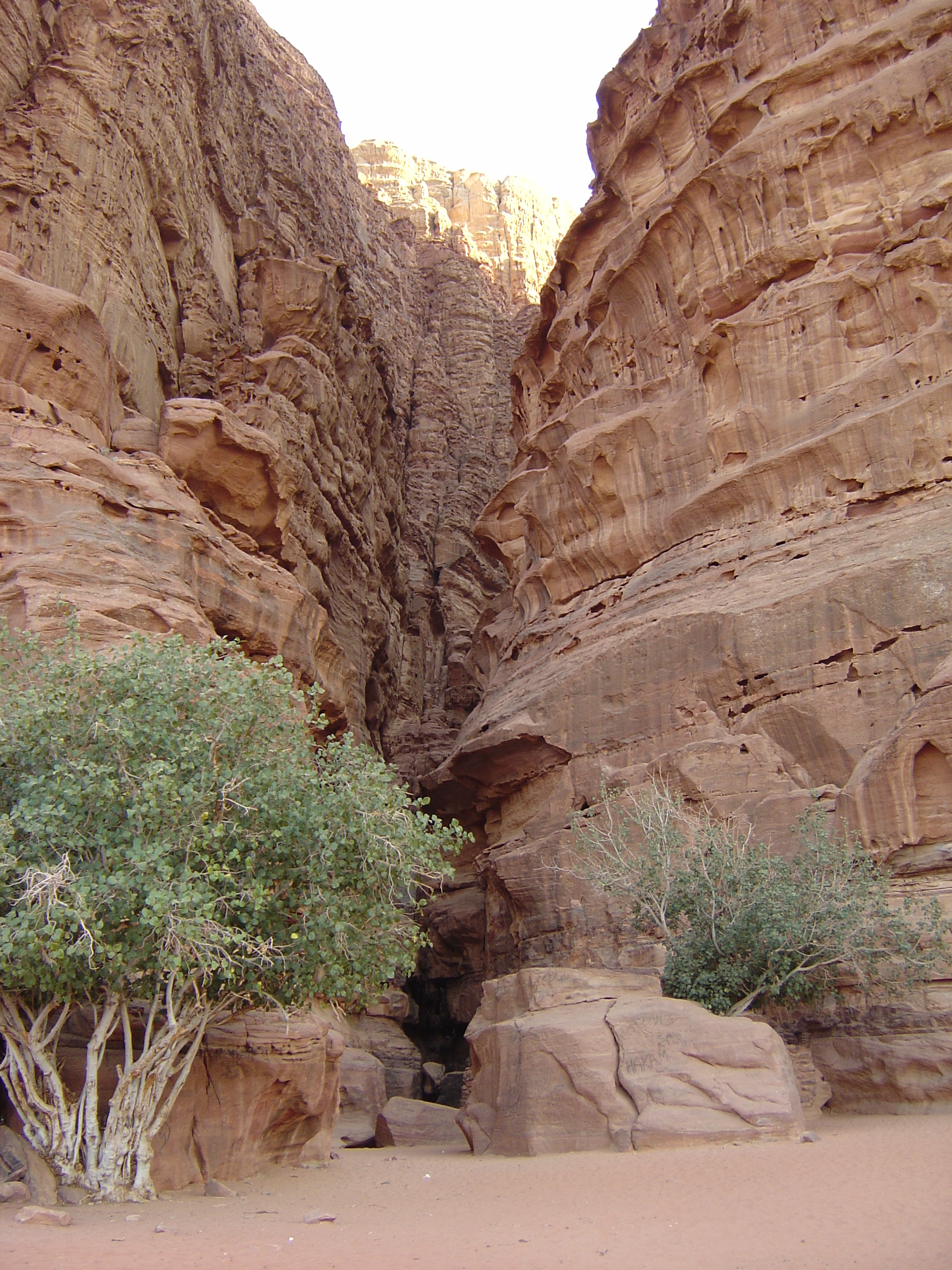 照片 约旦(Jordan) 瓦迪拉姆沙漠(Wadi Rum Desert) 2004-10 7
