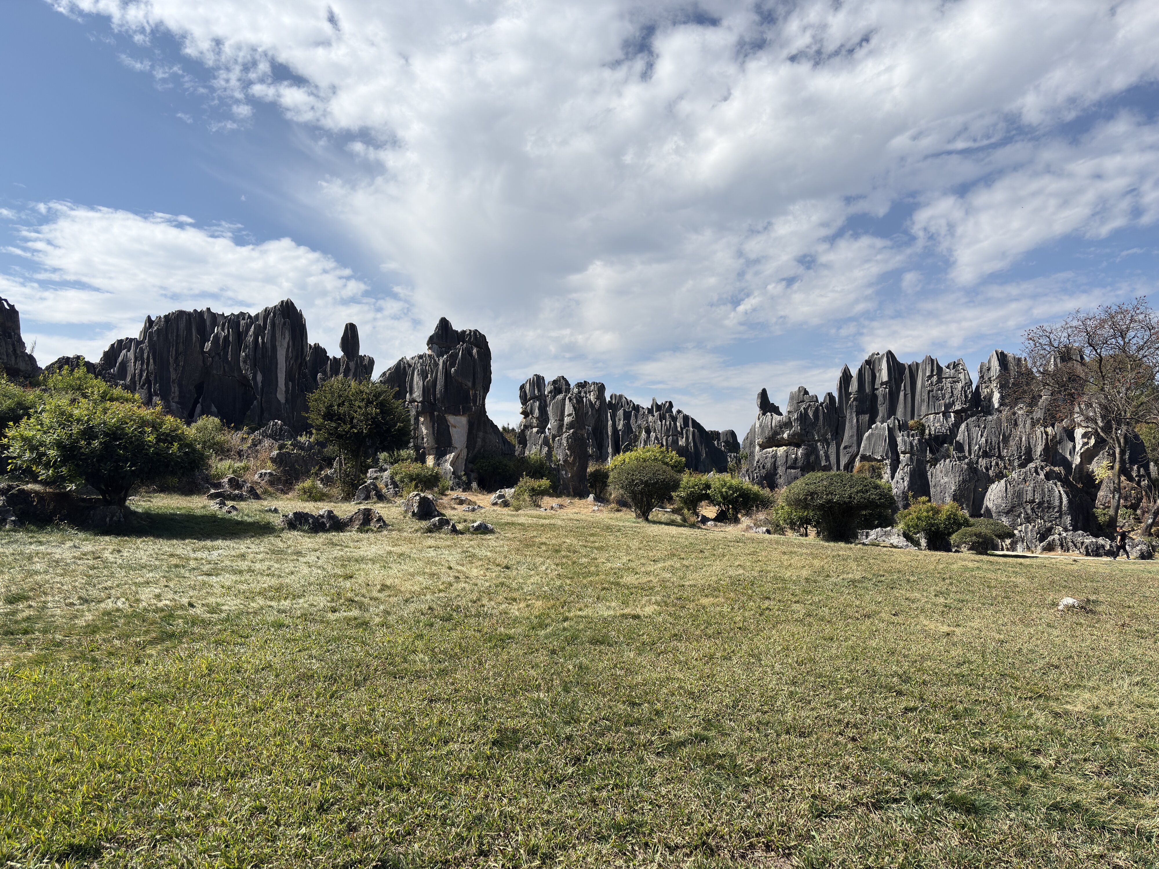 照片 中国(China) 石林(Shilin Stone Forest) 2026-01 384