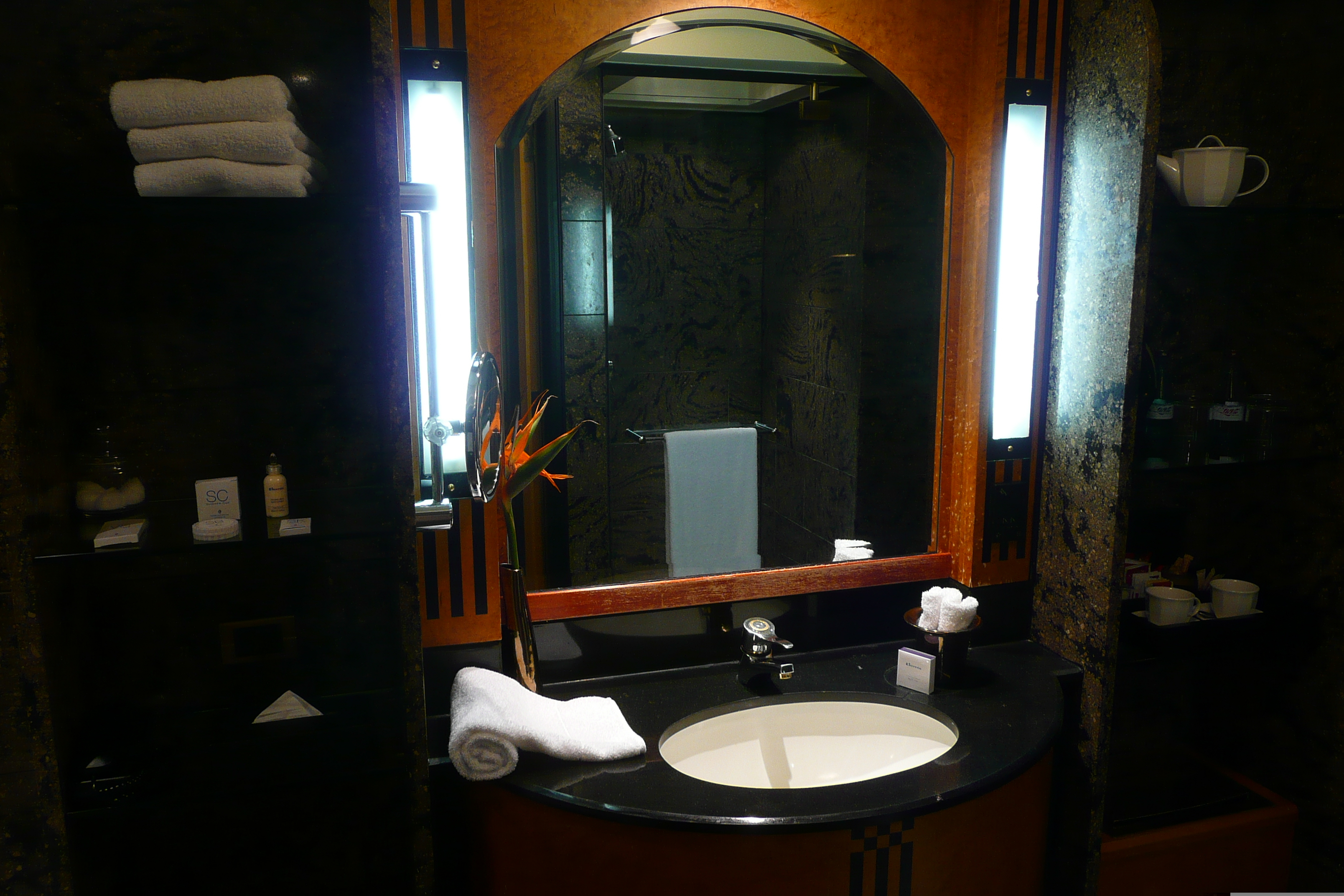 照片 南非(South Africa) 约翰内斯堡(Johannesburg) 洲际酒店(Intercontinental Hotel) 2008-09 22