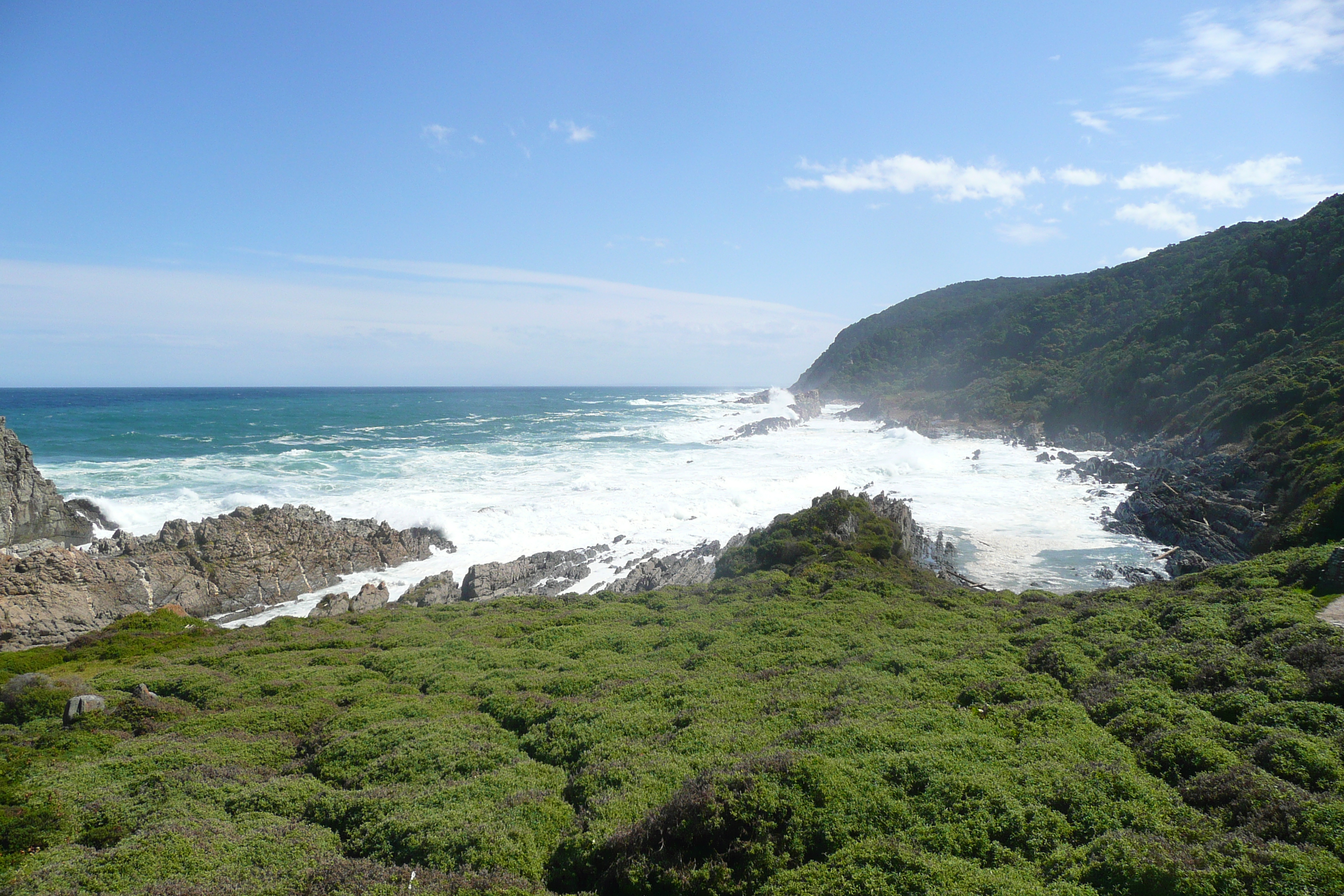 照片 南非(South Africa) 齐齐卡马国家公园(Tsitsikamma National Park) 2008-09 457