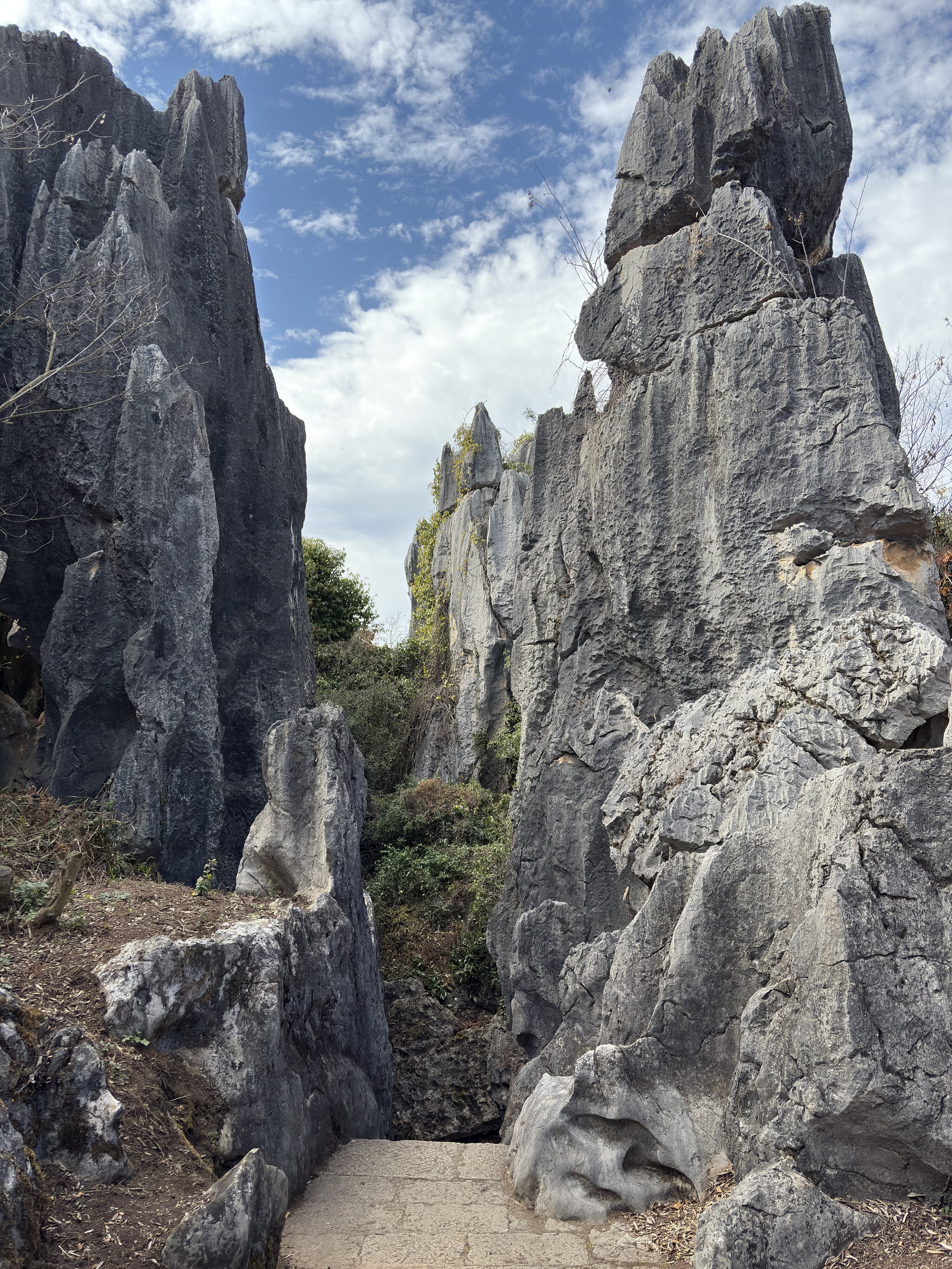 照片 中国(China) 石林(Shilin Stone Forest) 2026-01 112