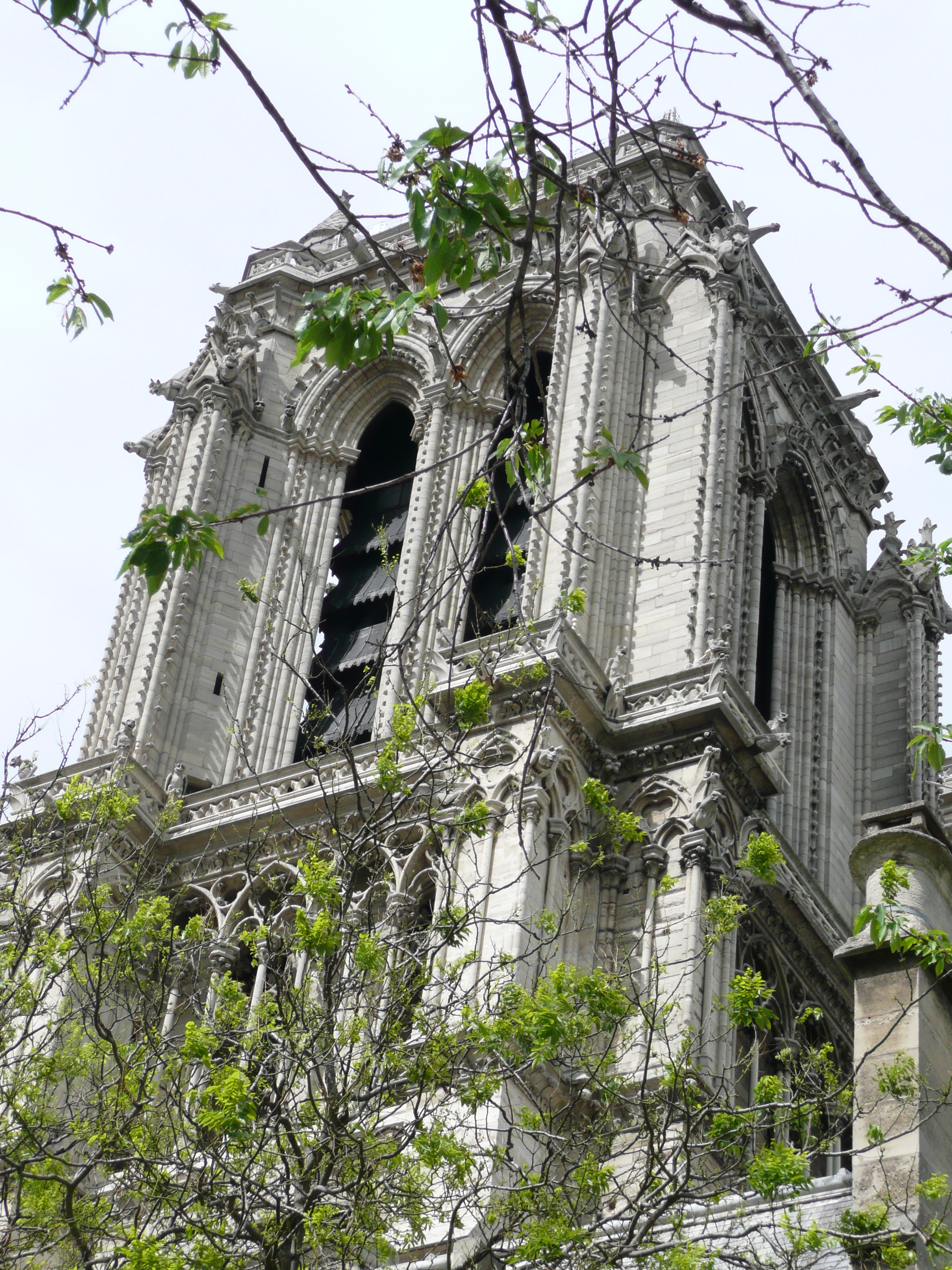 照片 法国(France) 巴黎(Paris) 巴黎圣母院(Notre Dame) 2007-05 121