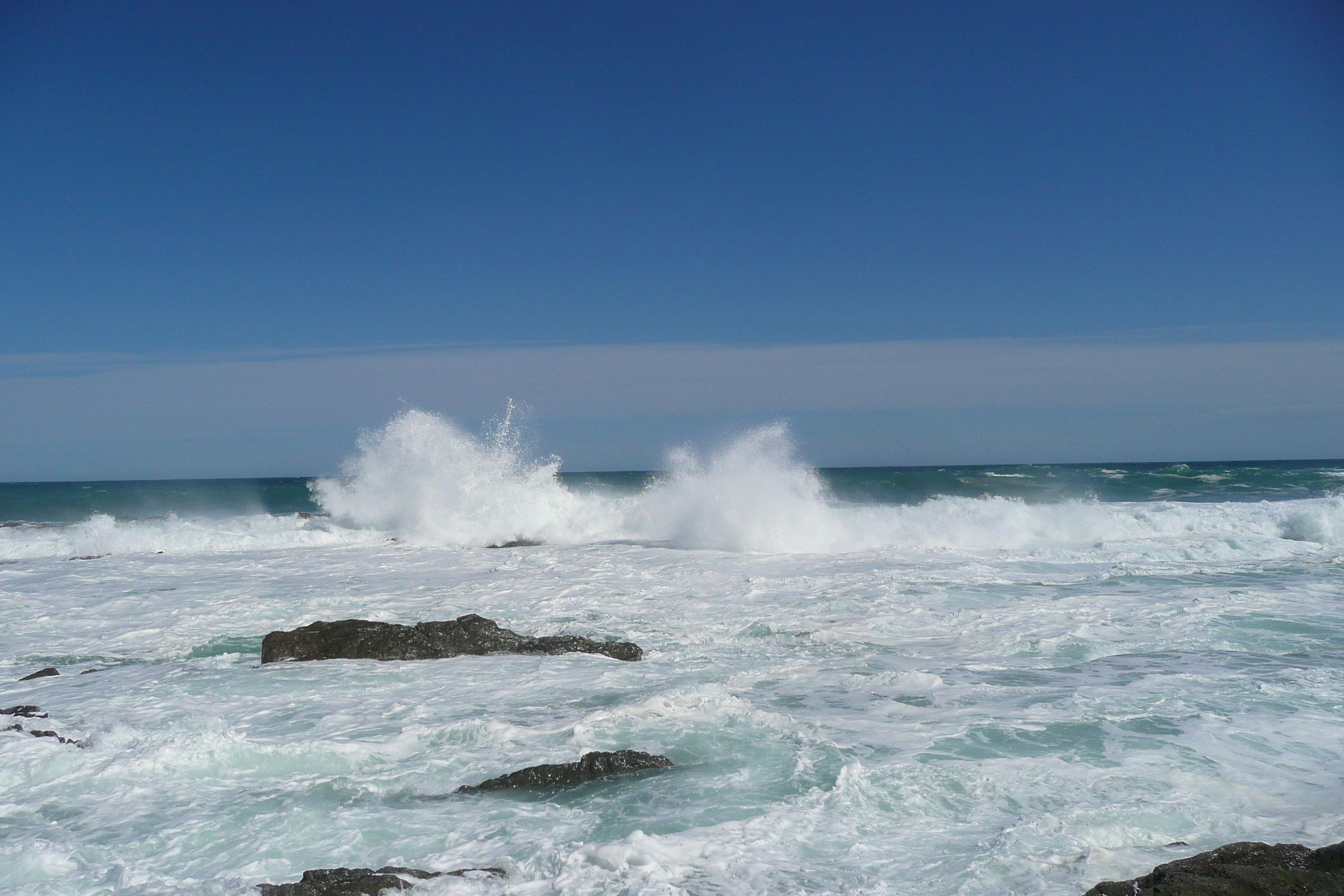 照片 南非(South Africa) 齐齐卡马国家公园(Tsitsikamma National Park) 2008-09 385