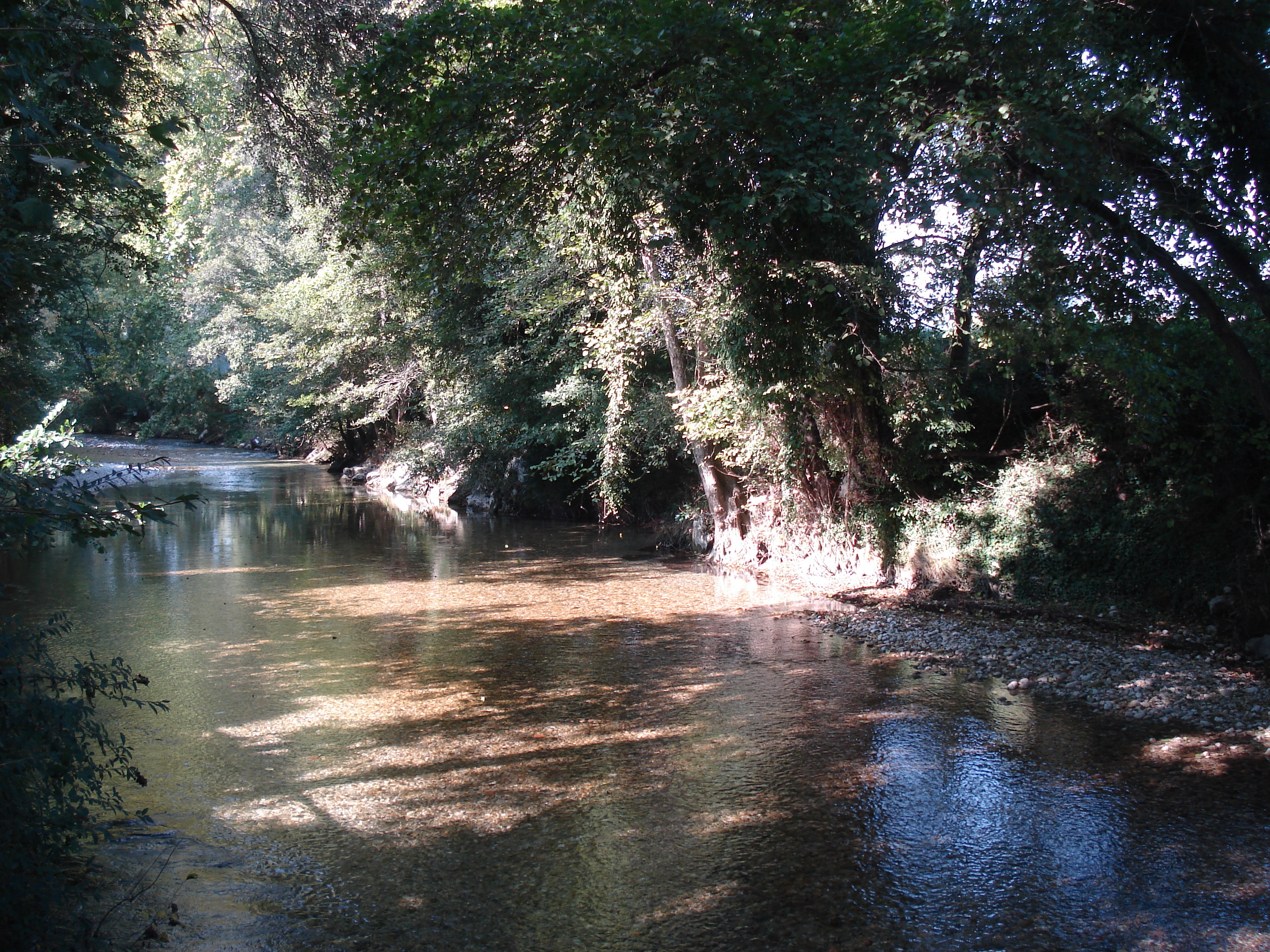 照片 法国(France) 维尔讷夫卢贝(Villeneuve Loubet) 2006-10 23