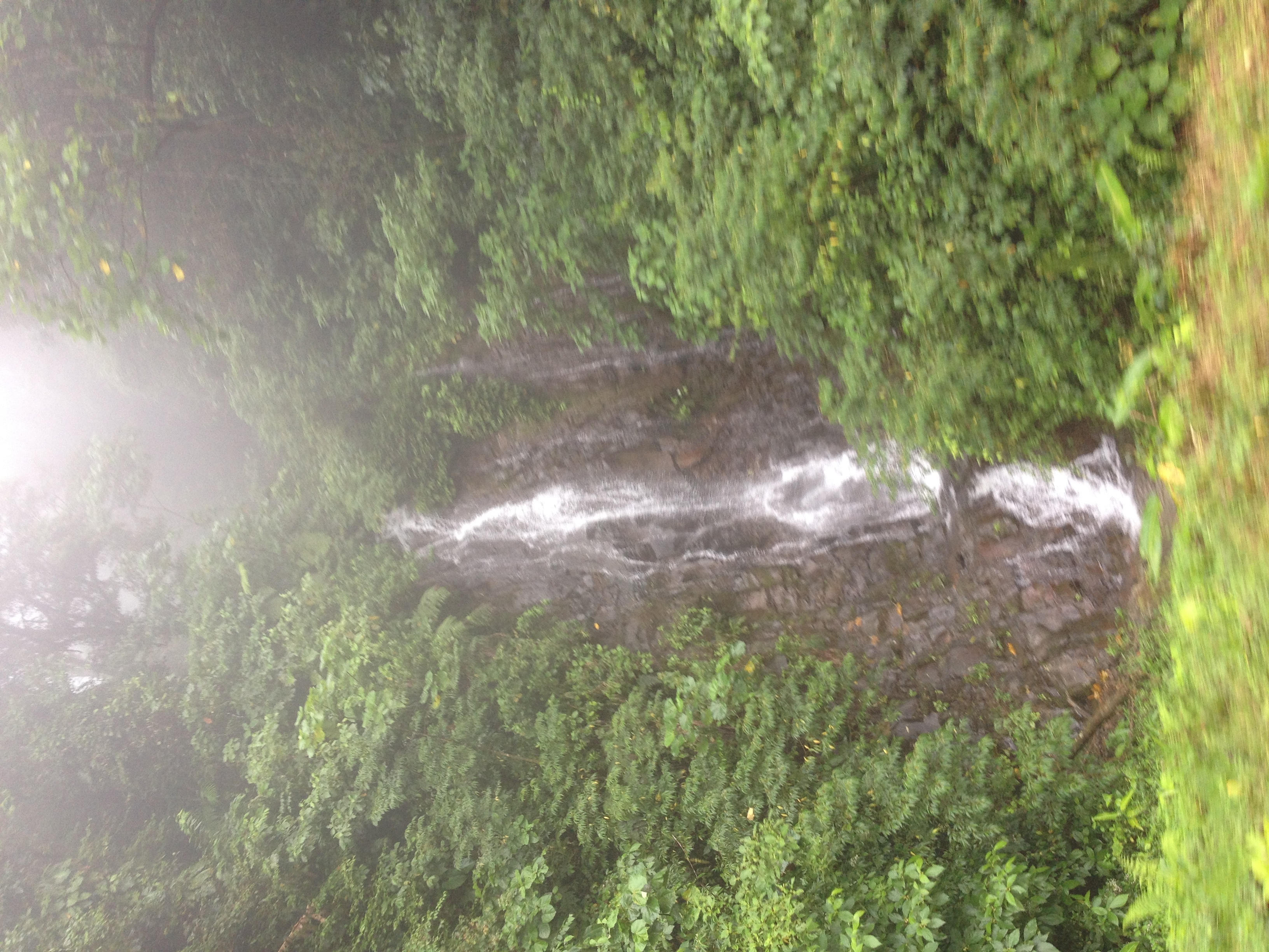 照片 巴拿马(Panama) 戴维至博卡斯德尔托罗(David to Bocas del toro) 2015-03 50