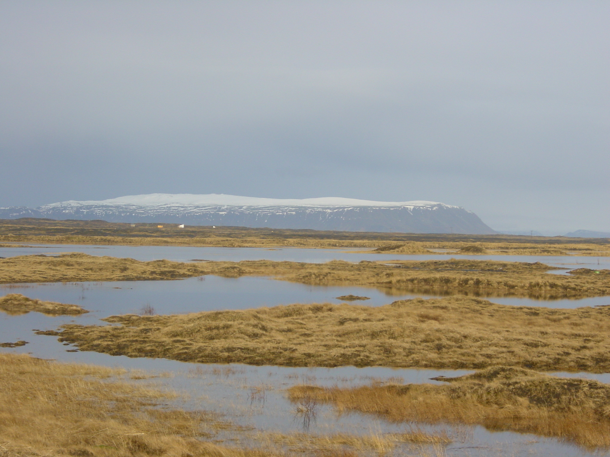 照片 冰岛(Iceland) 埃拉巴基(Eyrarbakki) 2003-03 0