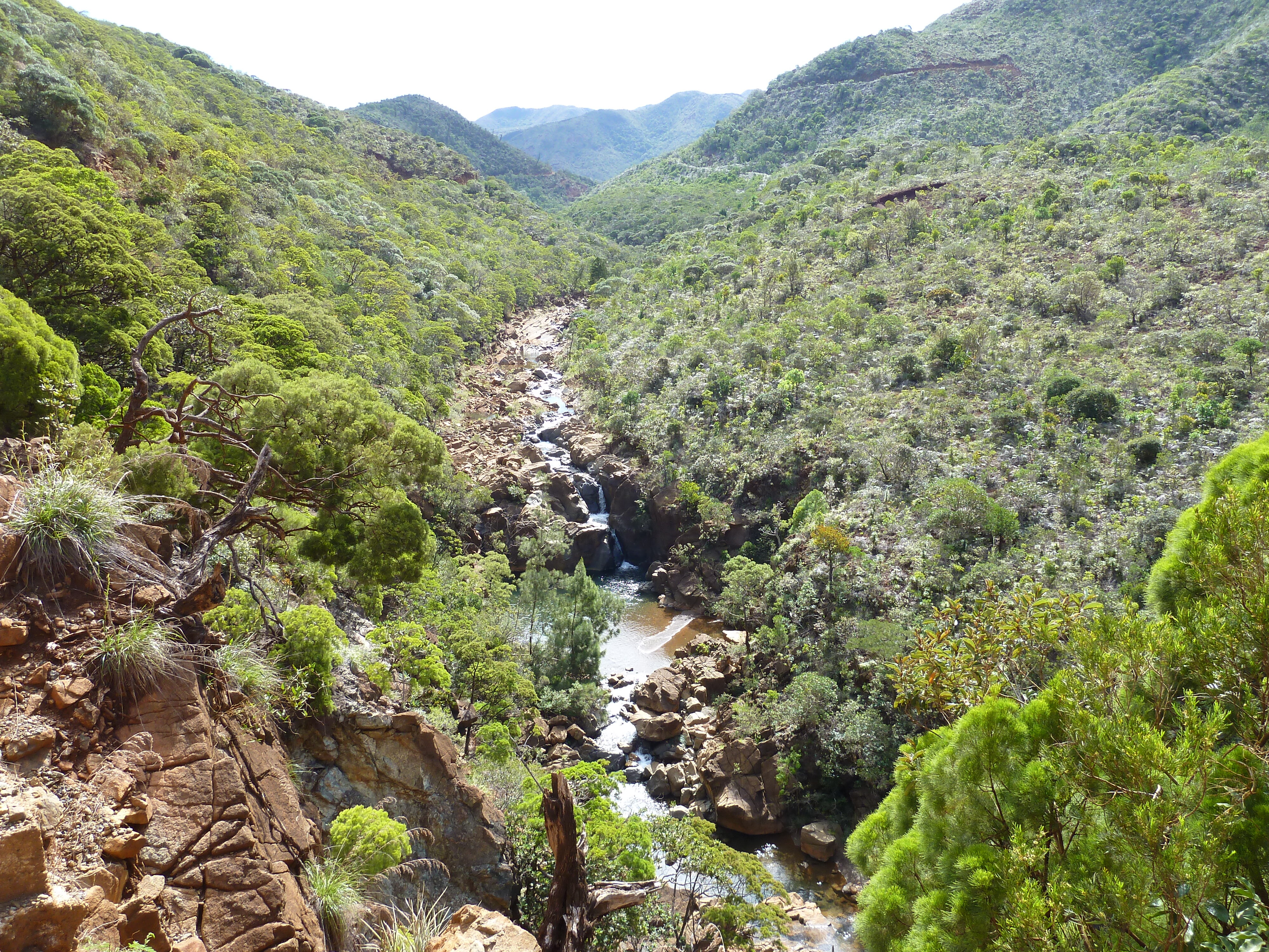 照片 新喀里多尼亚(New Caledonia) 蒂奥至卡纳拉公路(Thio to Canala road) 2010-05 26