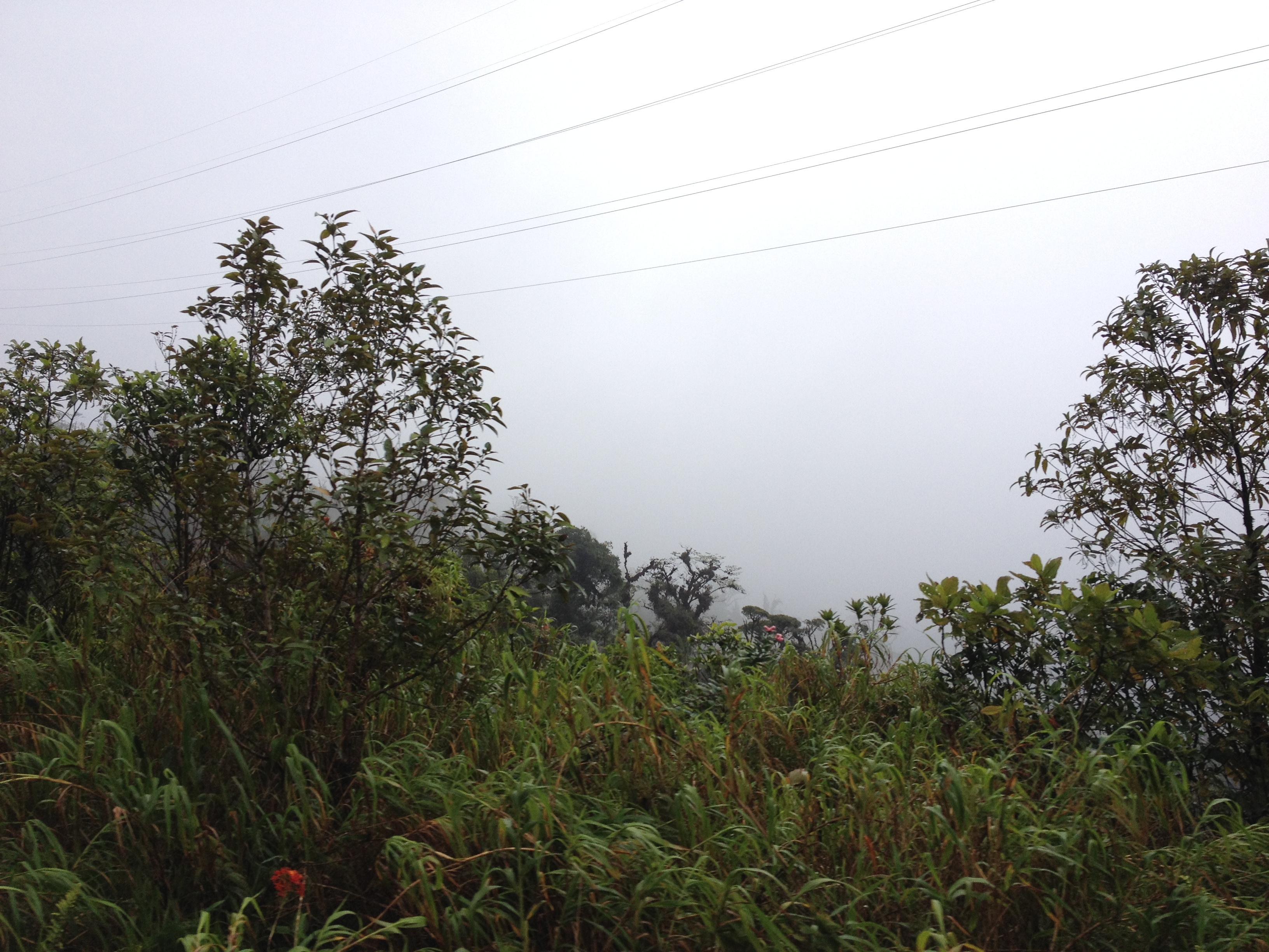 照片 巴拿马(Panama) 戴维至博卡斯德尔托罗(David to Bocas del toro) 2015-03 66