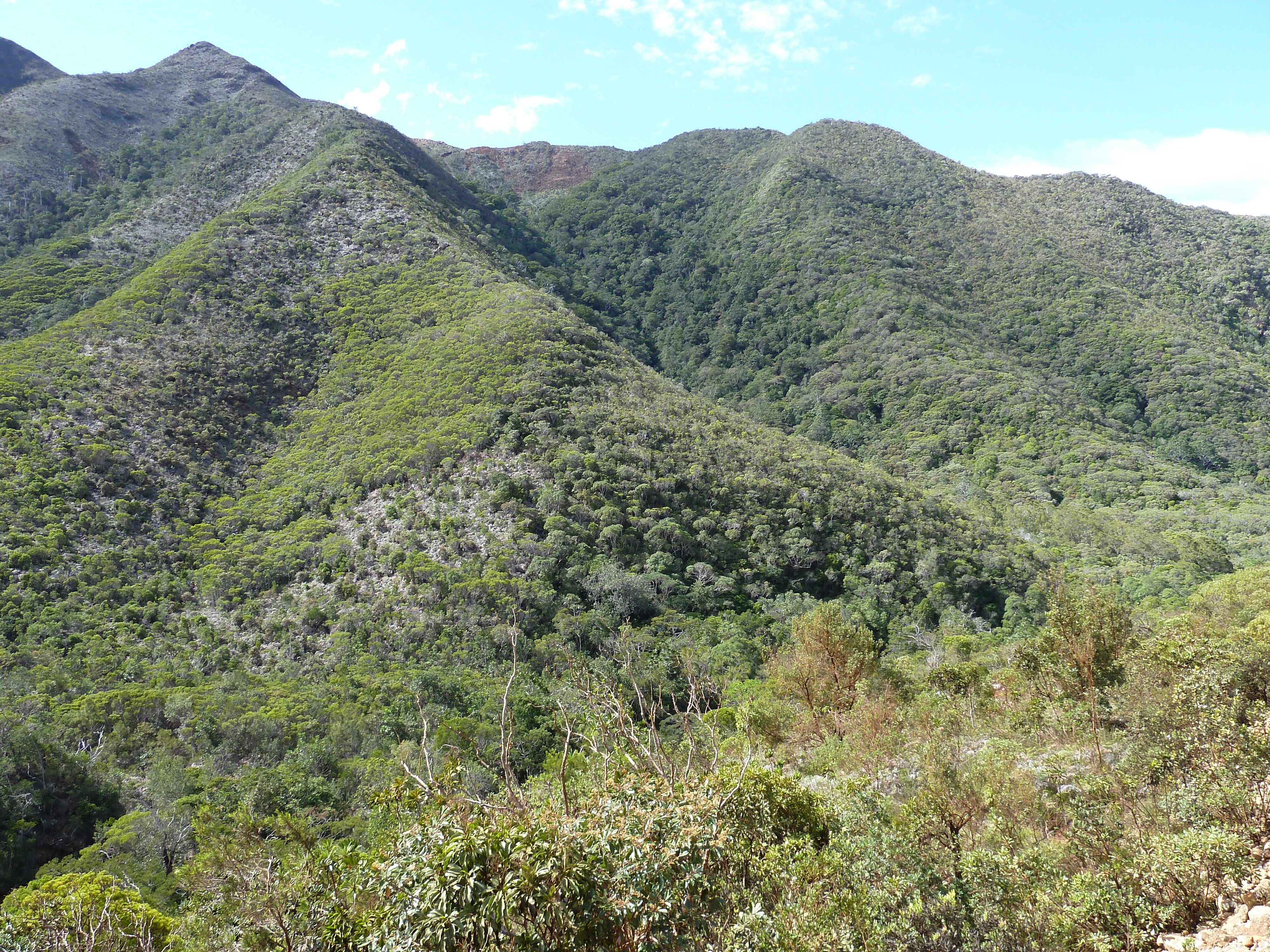 照片 新喀里多尼亚(New Caledonia) 蒂奥至卡纳拉公路(Thio to Canala road) 2010-05 32