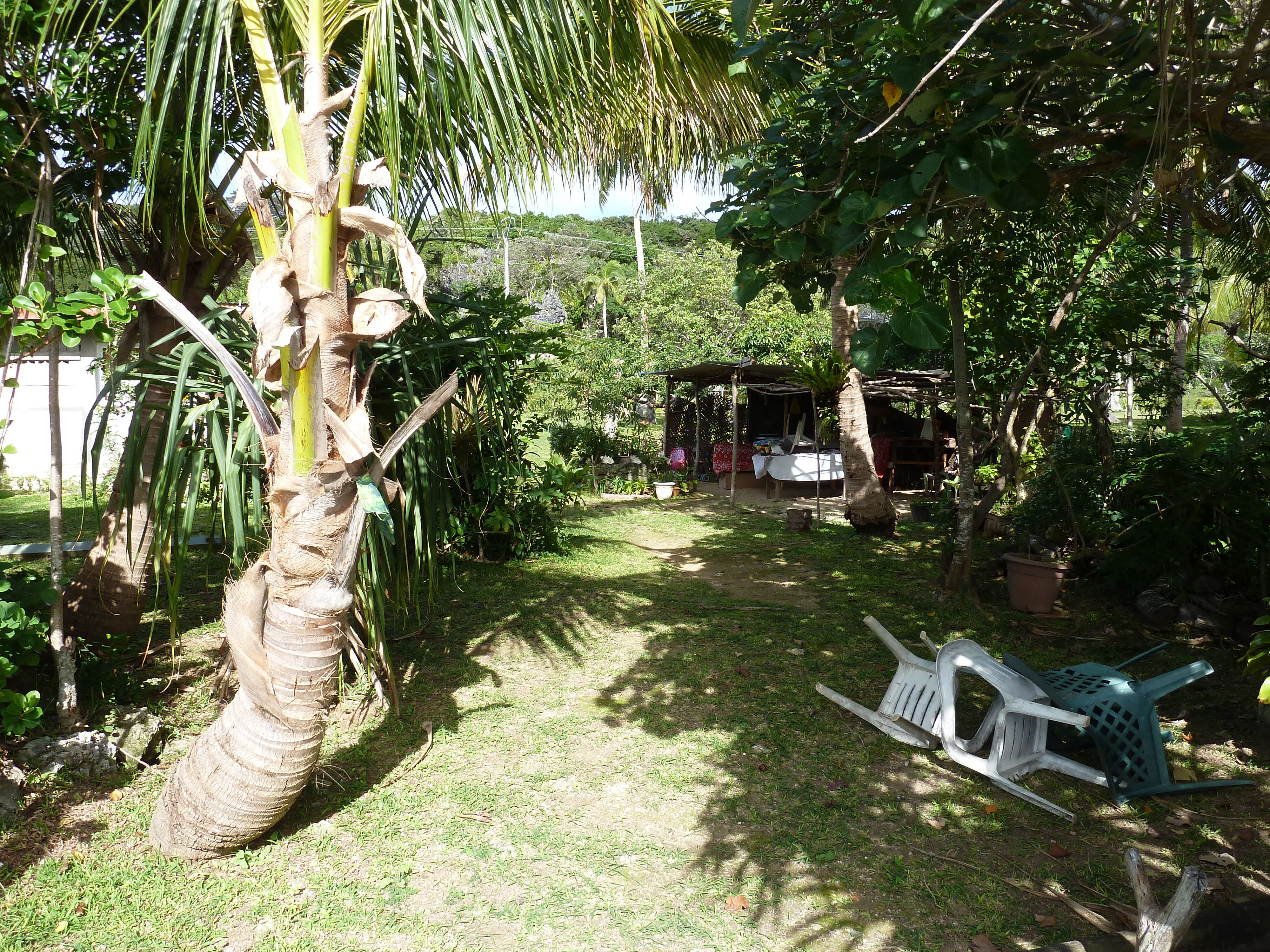 照片 新喀里多尼亚(New Caledonia) 利富岛(Lifou) 约西普(Josip) 2010-05 21