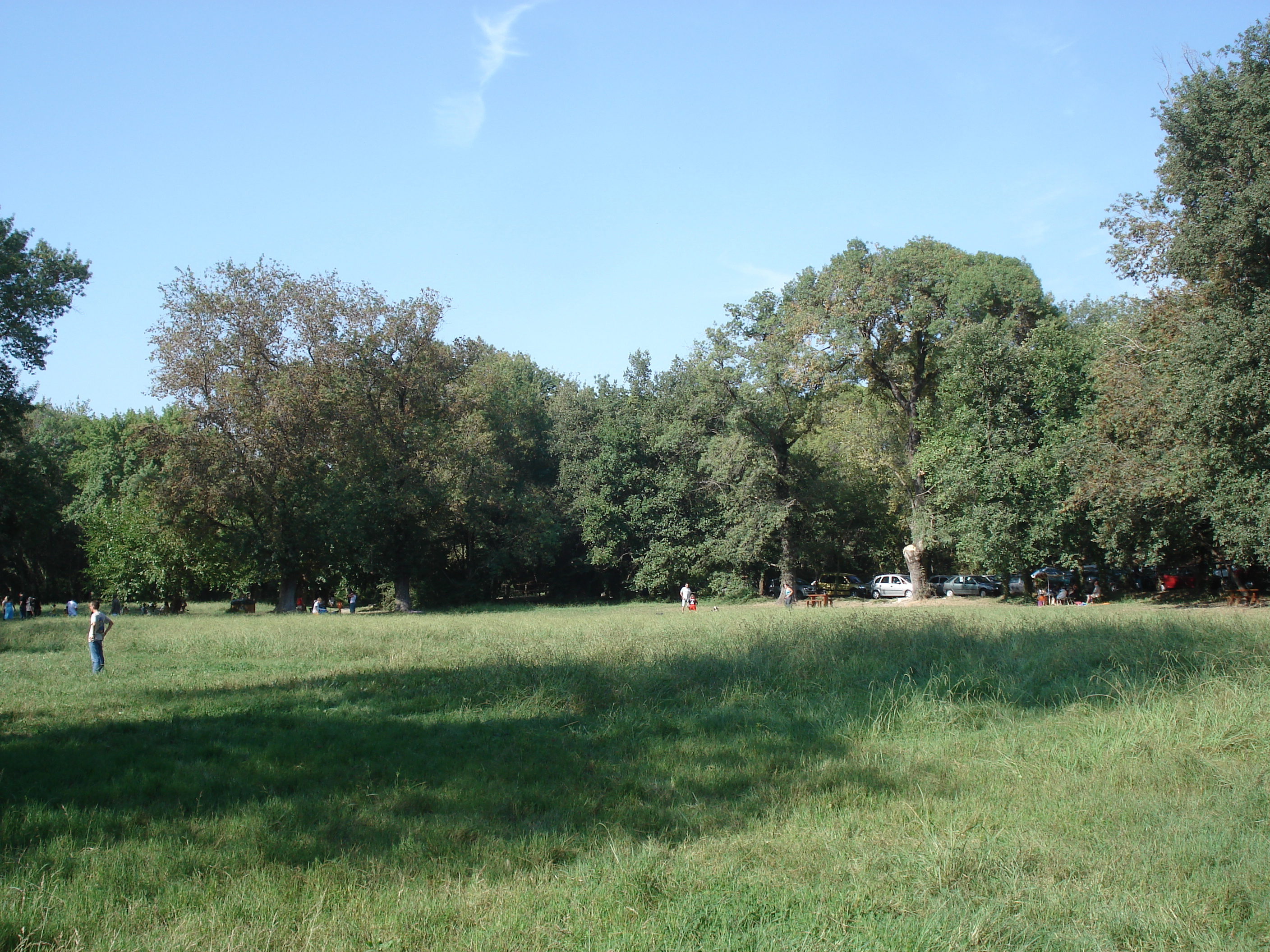 照片 法国(France) 维尔讷夫卢贝(Villeneuve Loubet) 沃格勒尼耶公园(Parc de Vaugrenier) 2006-09 18