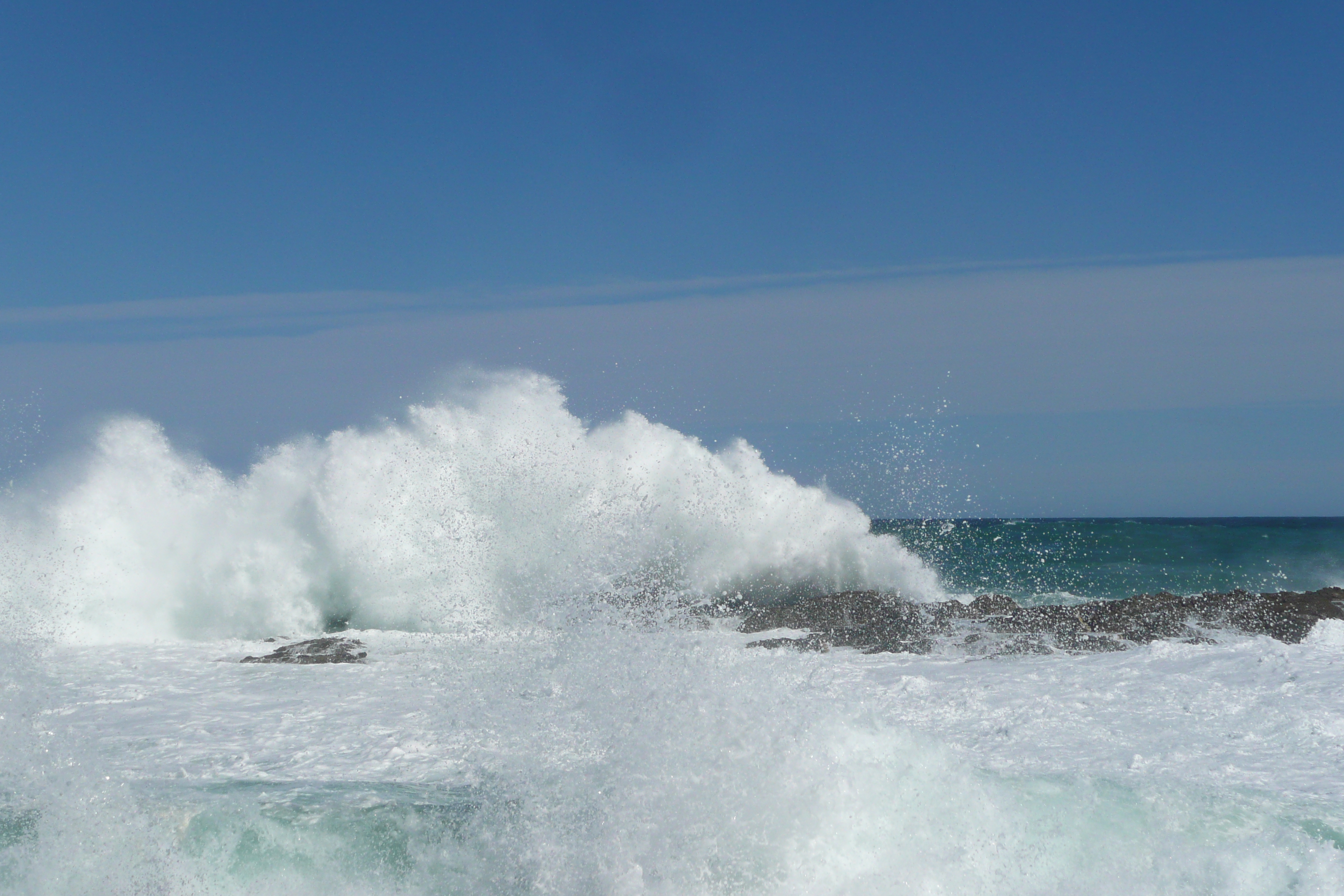 照片 南非(South Africa) 齐齐卡马国家公园(Tsitsikamma National Park) 2008-09 469