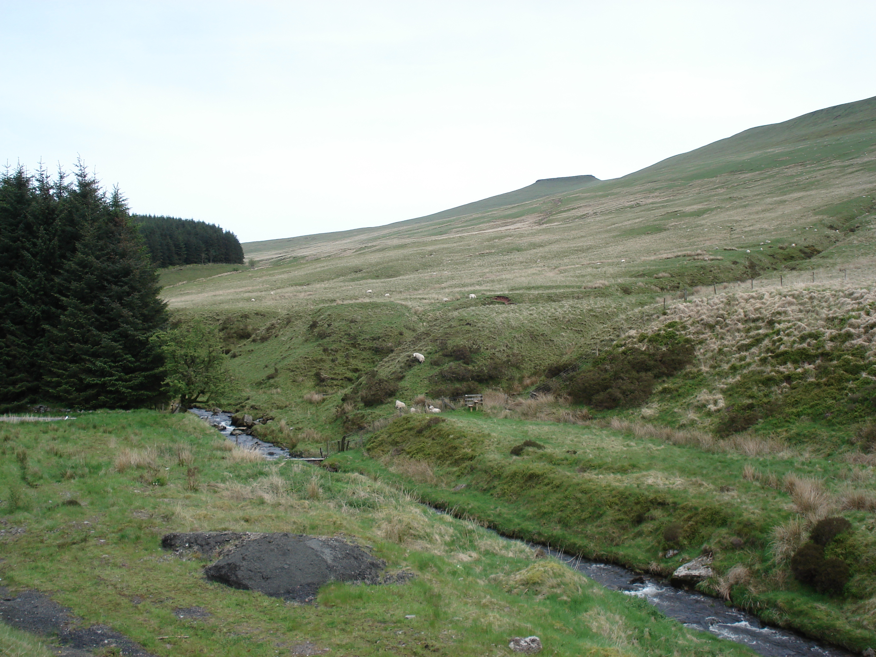 照片 英国(United Kingdom) 布雷肯比肯斯国家公园(Brecon Beacons National Park) 2006-05 59