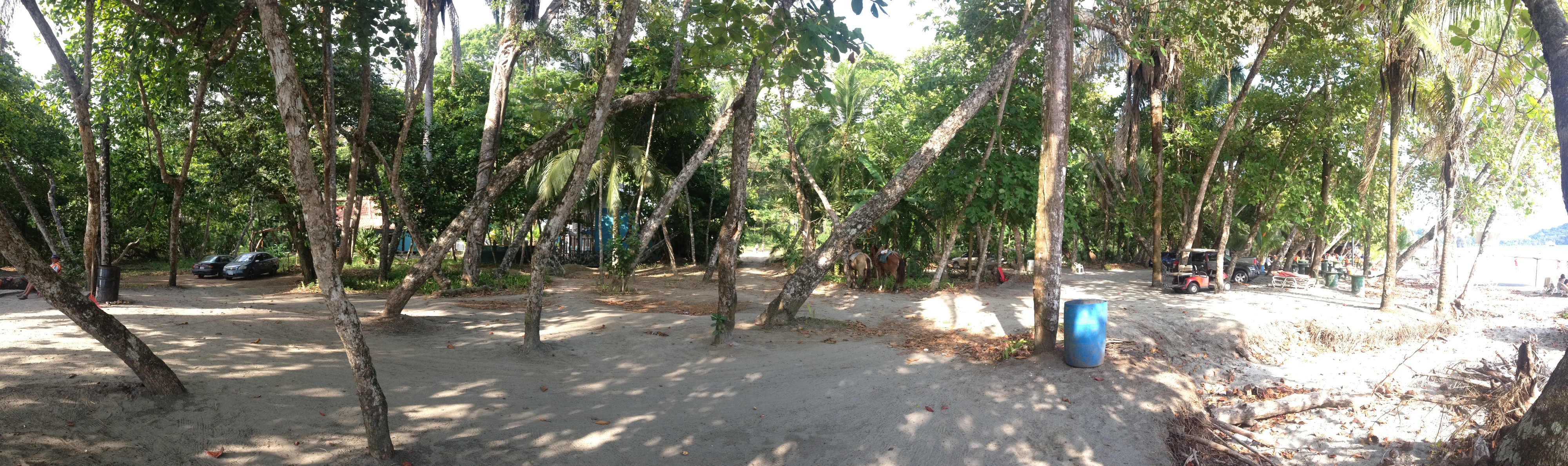 照片 哥斯达黎加(Costa Rica) 曼努埃尔安东尼奥(Manuel Antonio) 2015-03 336