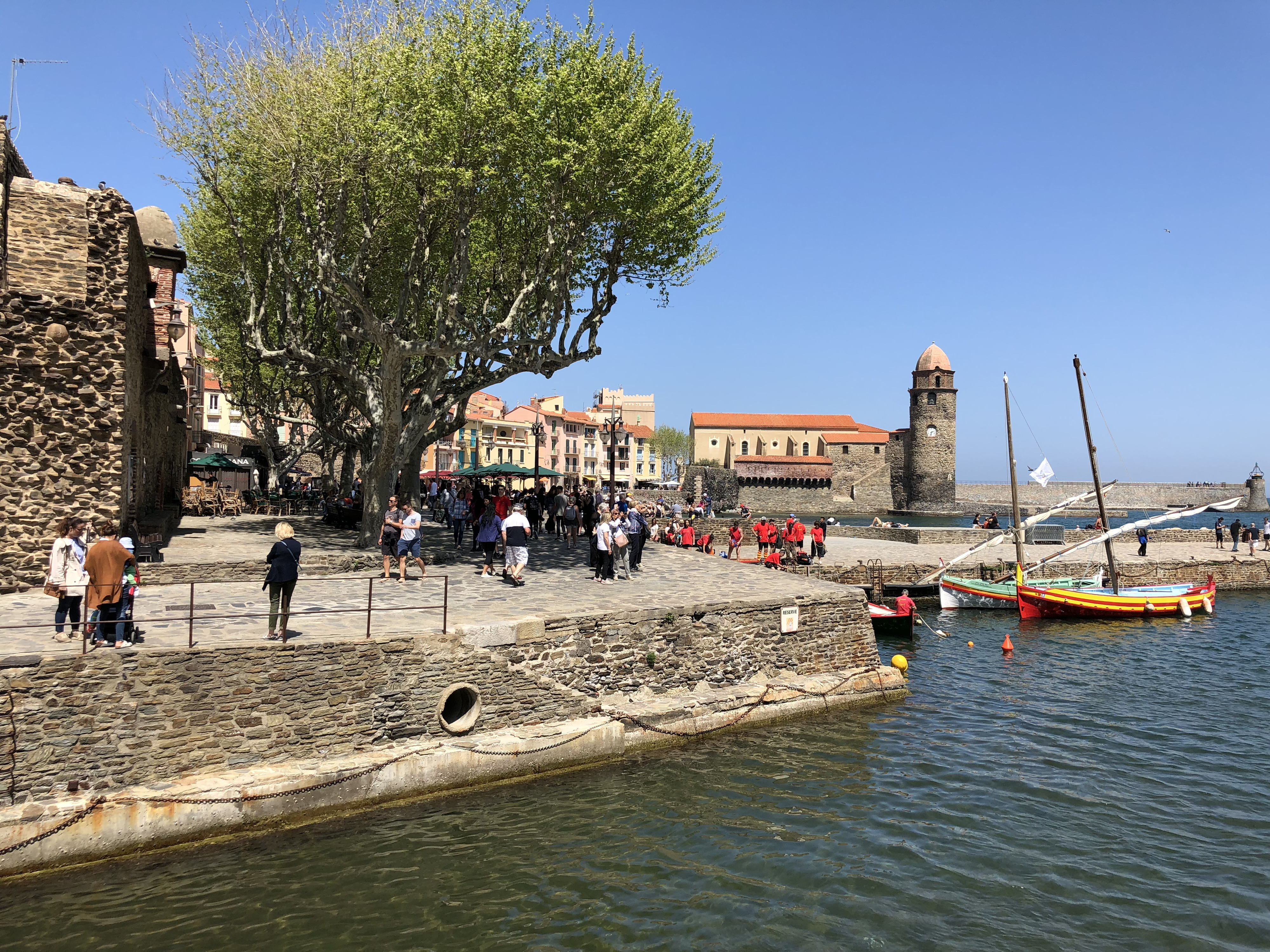 照片 法国(France) 科利乌尔(Collioure) 2018-04 45