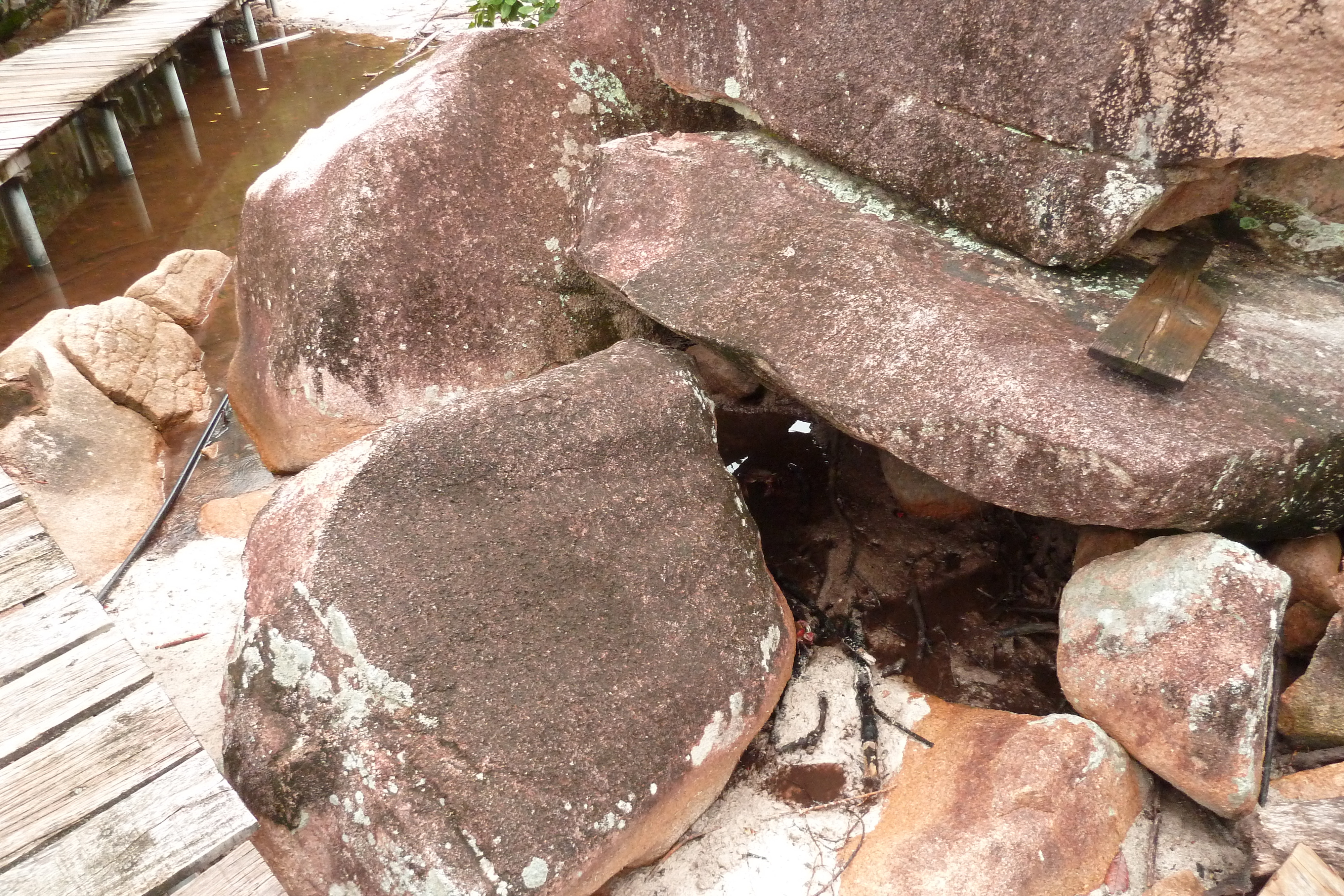 照片 塞舌尔(Seychelles) 居里厄斯岛(Curieuse) 2011-10 19