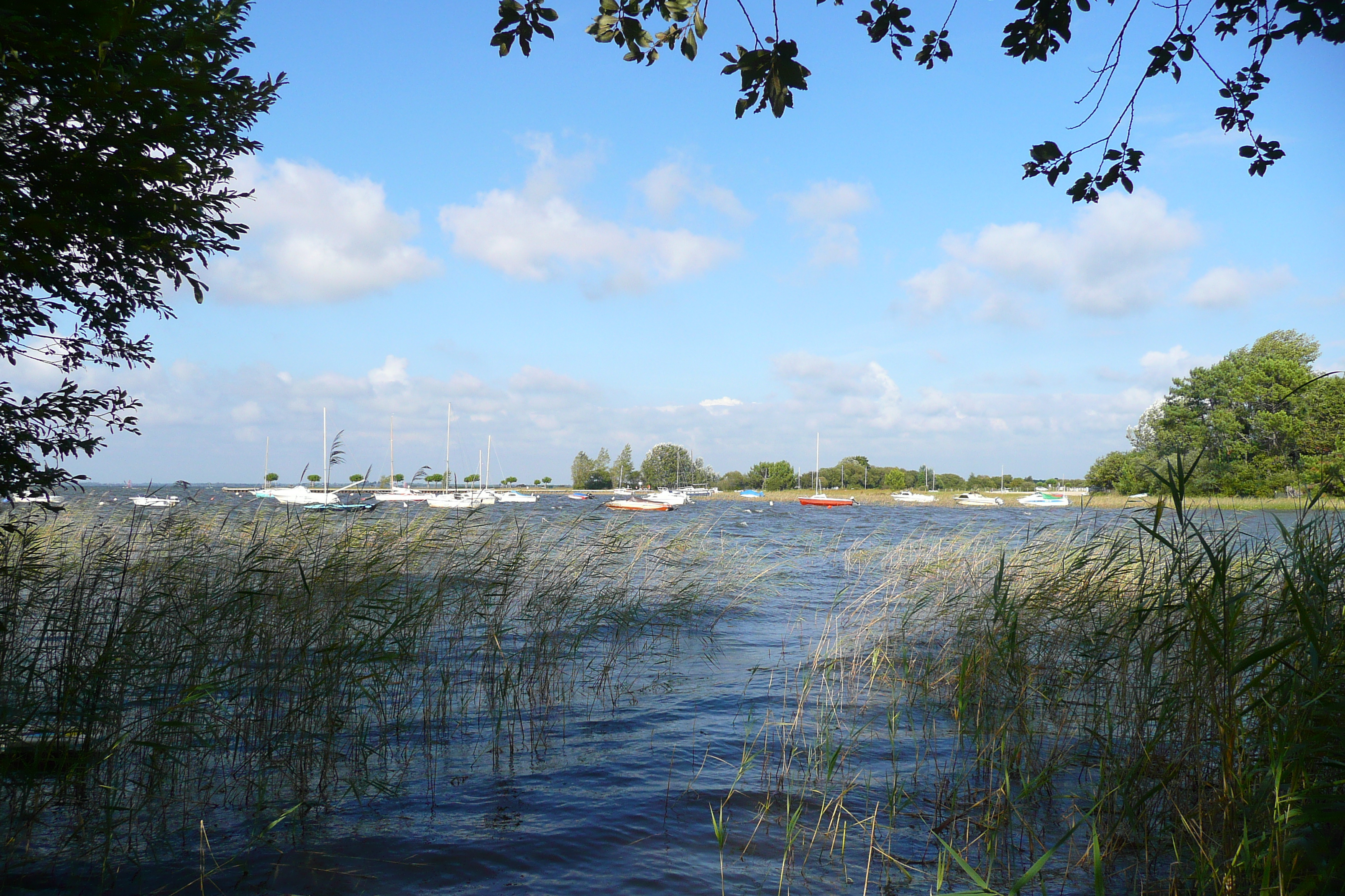 照片 法国(France) 莫比松(Maubuisson) 2007-08 18