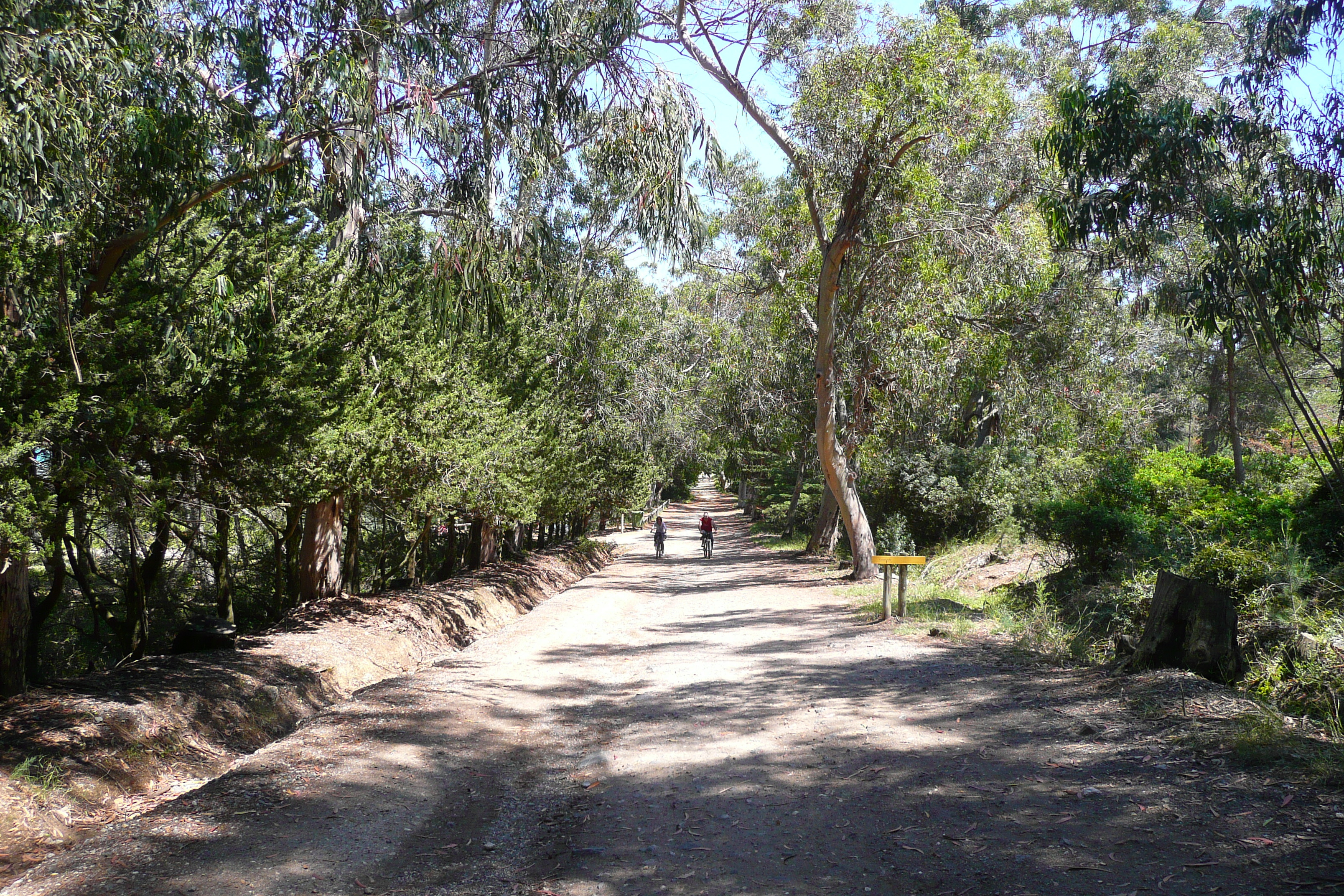 照片 法国(France) 波克罗勒岛(Porquerolles Island) 库尔塔德平原(Plaine de la courtade) 2008-05 24