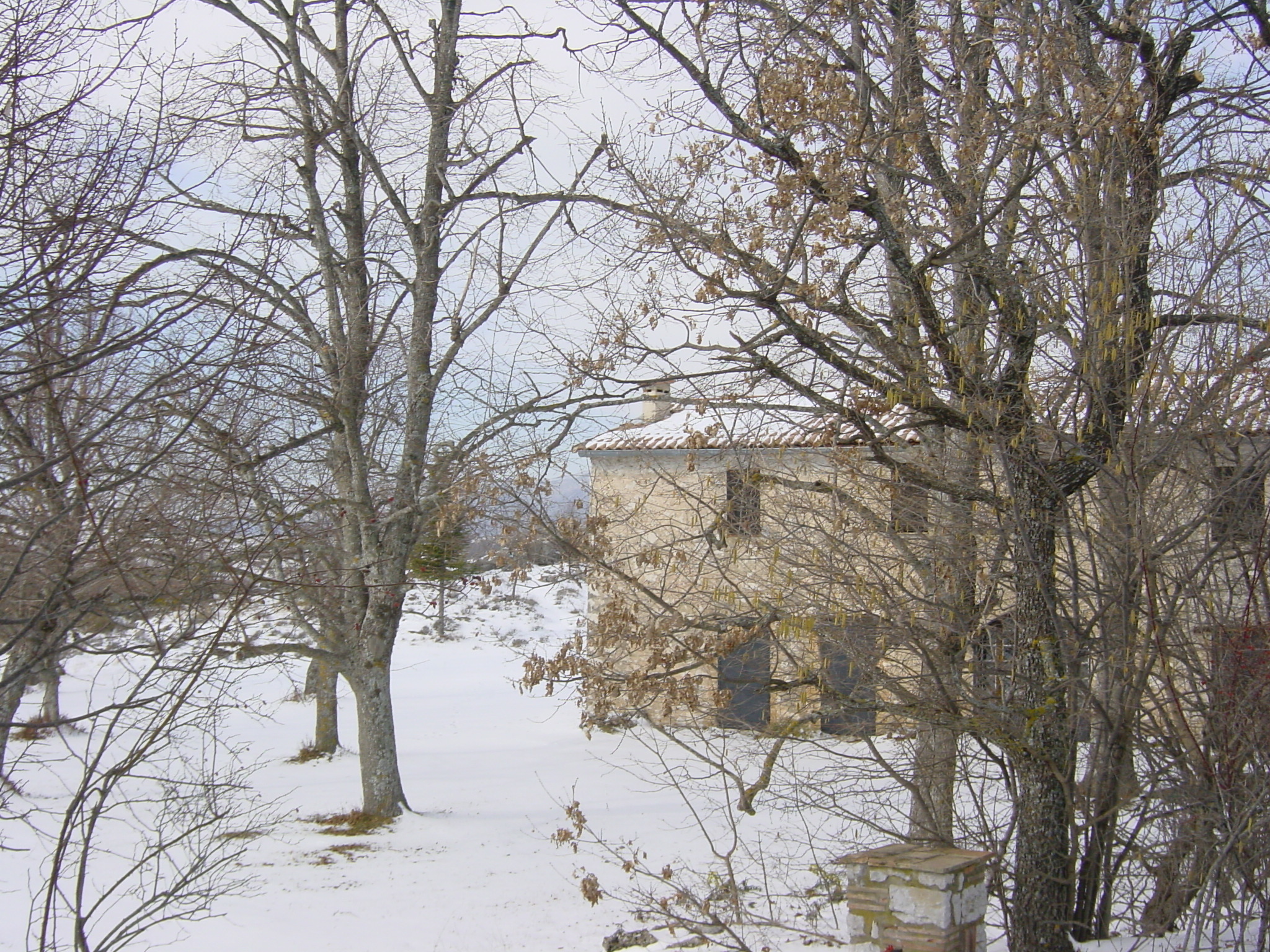 照片 法国(France) 旺斯(Vence) 旺斯山口(Col de Vence) 2003-02 15