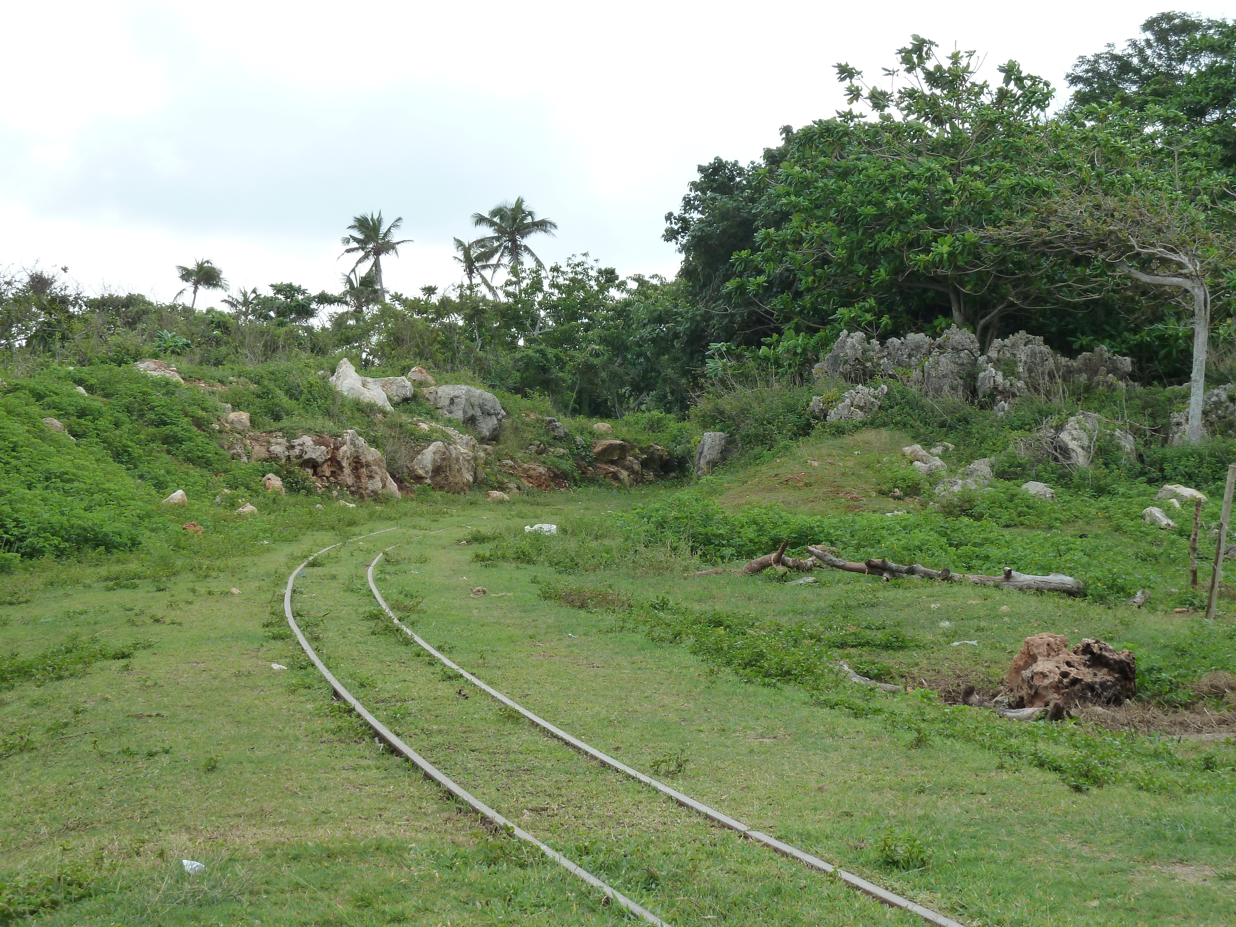 照片 斐济(Fiji) 楠迪至纳塔多拉公路(Nadi to Natadola road) 2010-05 26
