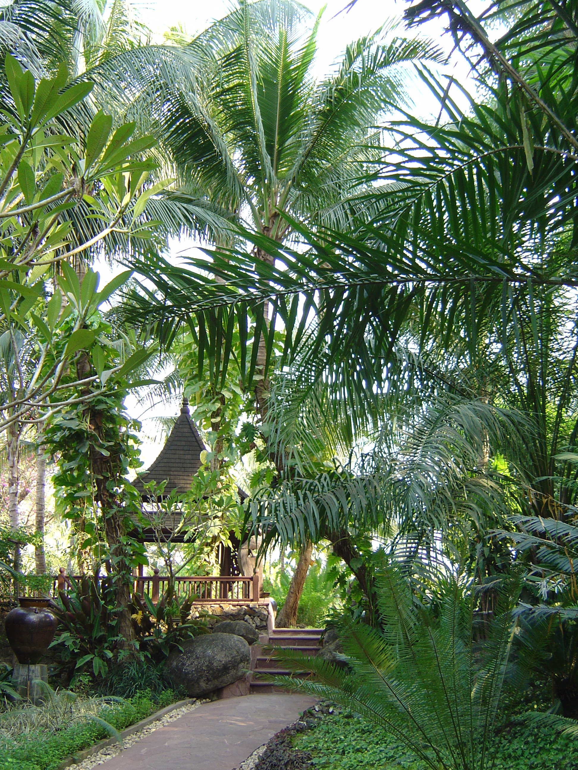 照片 缅甸(Myanmar) 仰光(Yangon) 甘达基宫殿酒店(Kandawgyi Palace Hotel) 2005-01 30