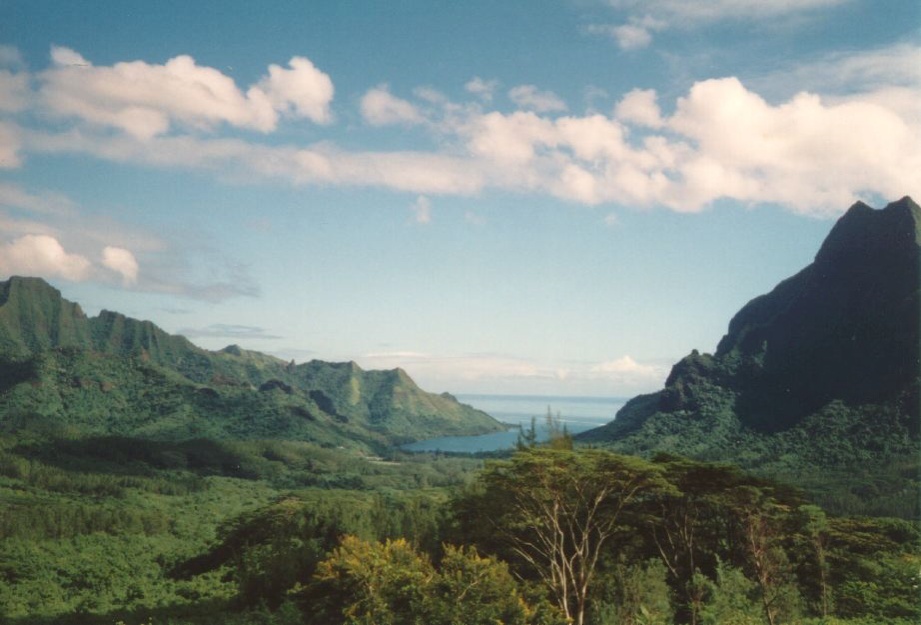照片 波利尼西亚(Polynesia) 1993-04 79