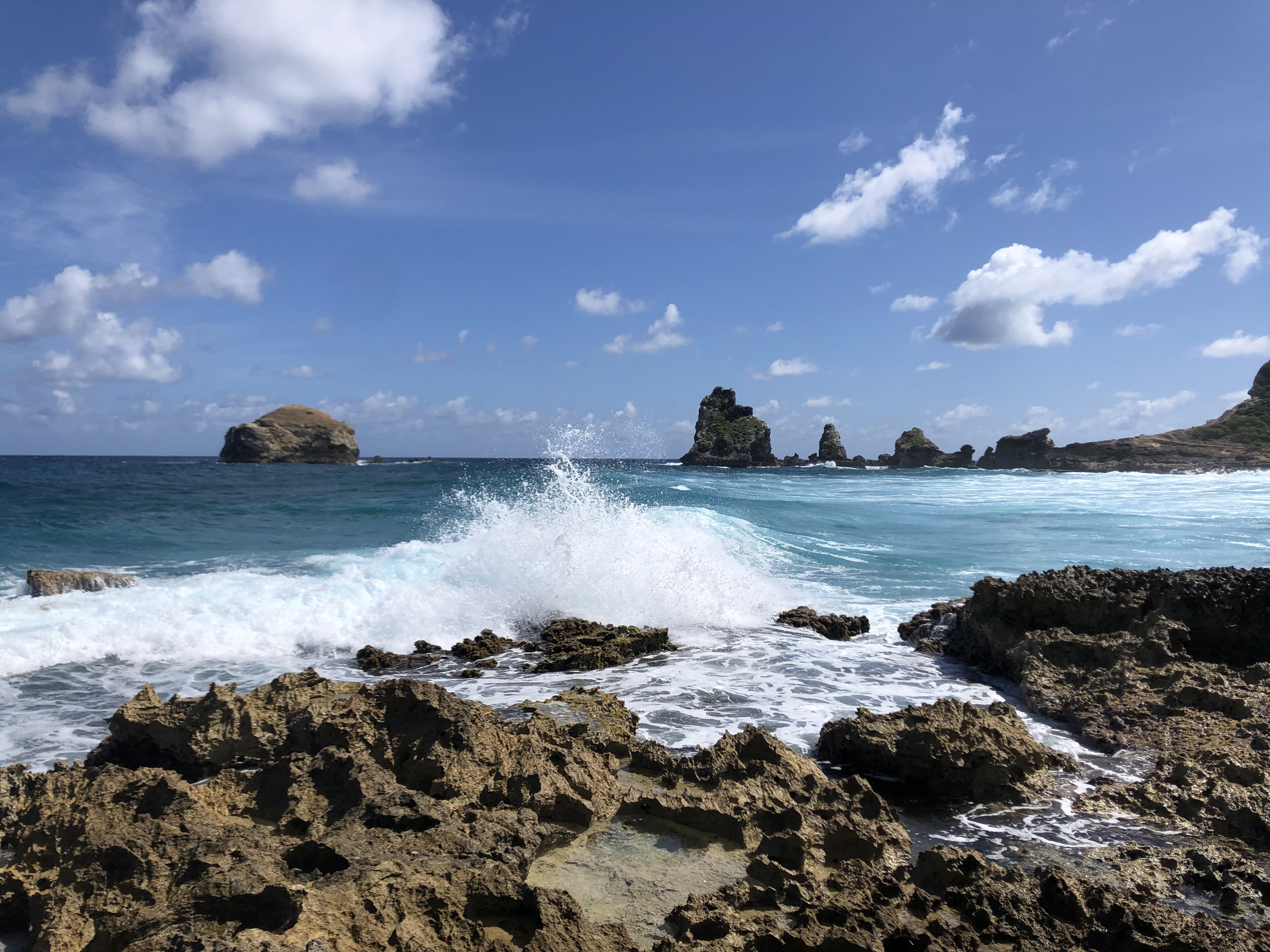 照片 瓜德罗普(Guadeloupe) 城堡角(Castle Point) 2021-02 208