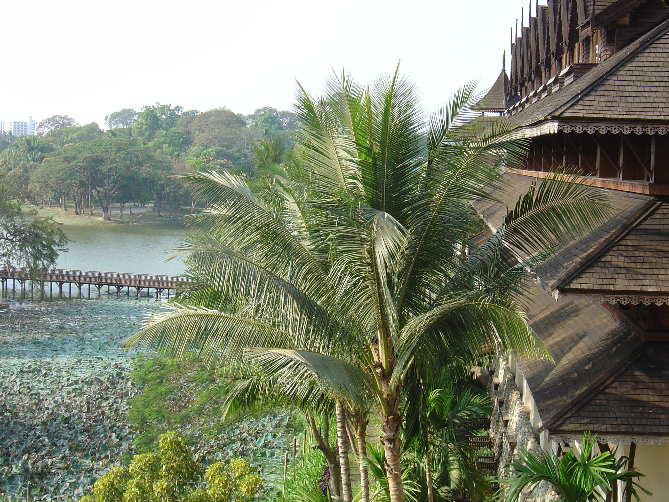 照片 缅甸(Myanmar) 仰光(Yangon) 甘达基宫殿酒店(Kandawgyi Palace Hotel) 2005-01 41