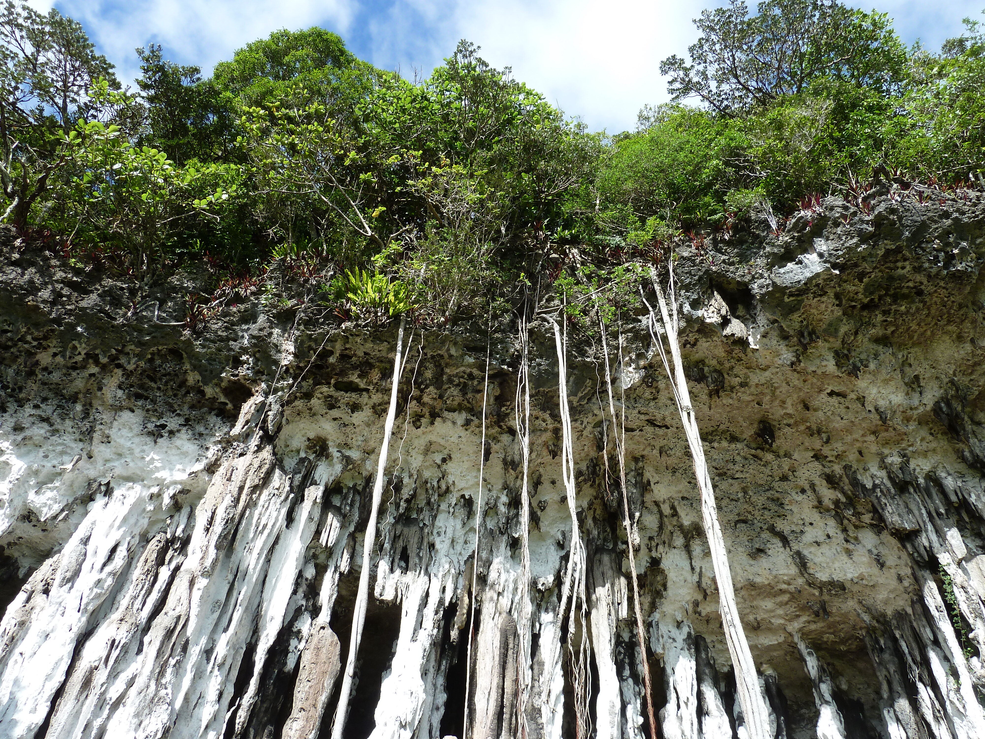 照片 新喀里多尼亚(New Caledonia) 利富岛(Lifou) 约西普(Josip) 2010-05 9