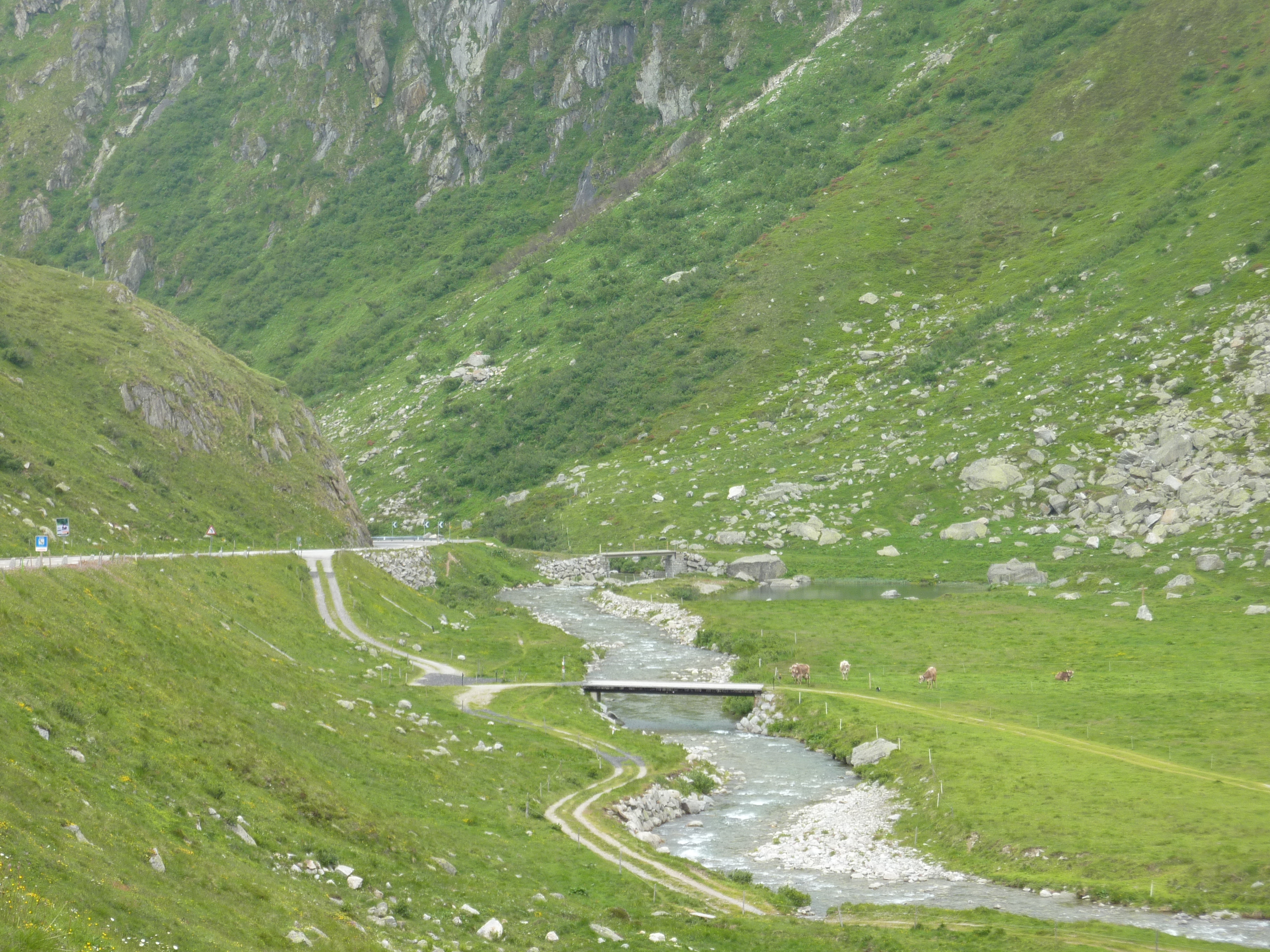 照片 瑞士(Switzerland) 圣哥达山口(Gotthard Pass) 2009-06 13