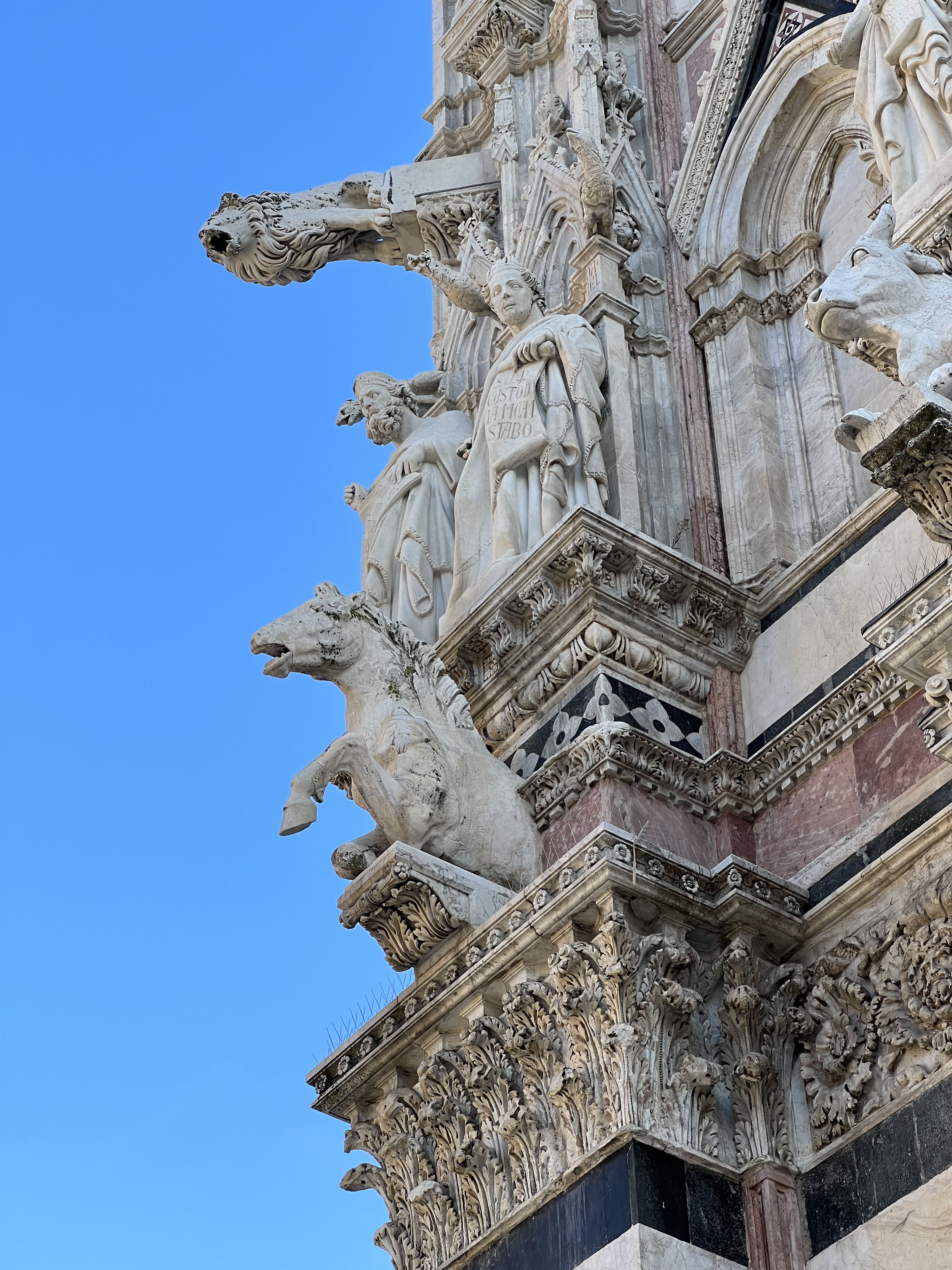 照片 意大利(Italy) 锡耶纳(Siena) 锡耶纳大教堂(Duomo di Siena) 2021-09 62