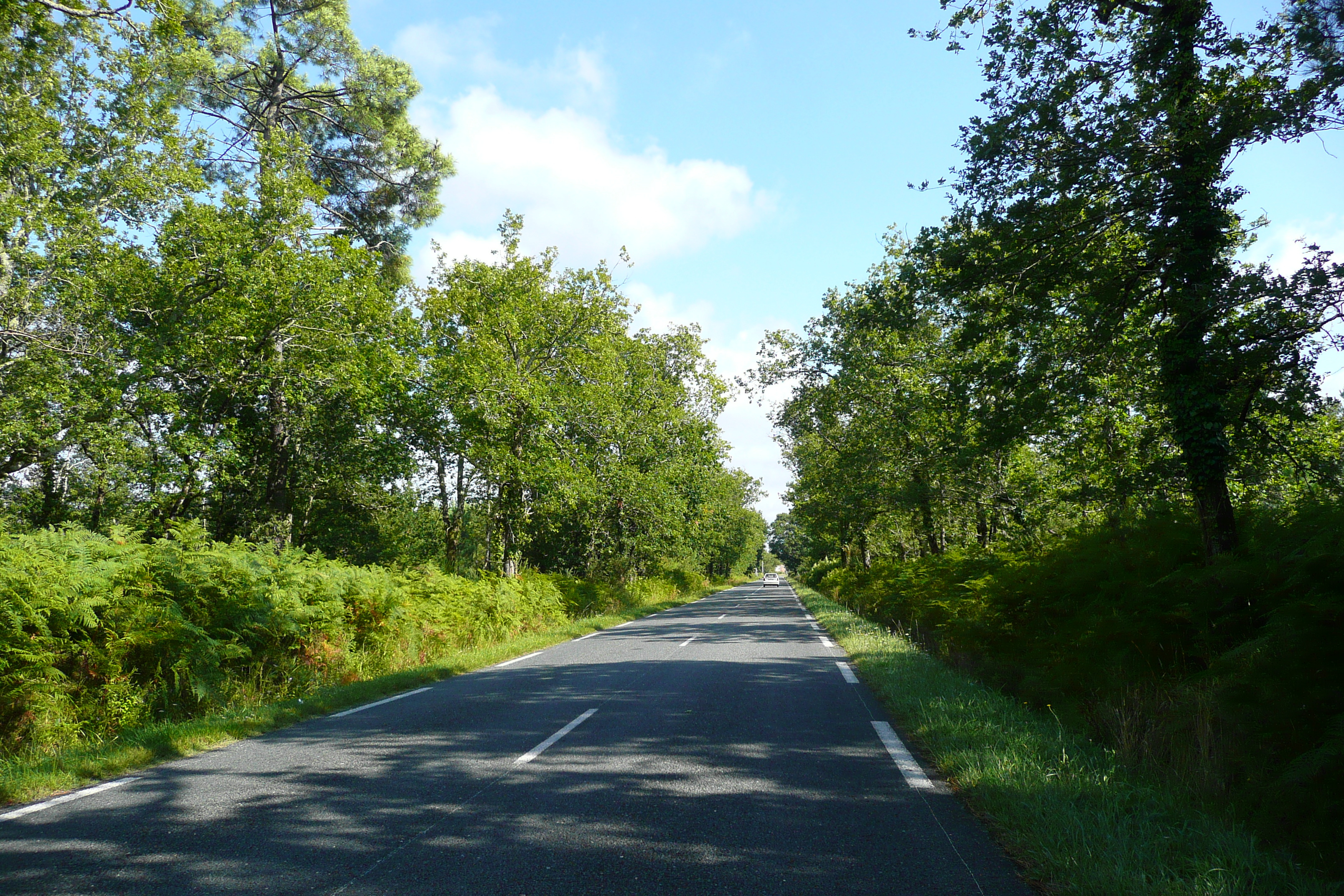 照片 法国(France) 吉伦特湖区公路(Gironde lakes road) 2007-08 0