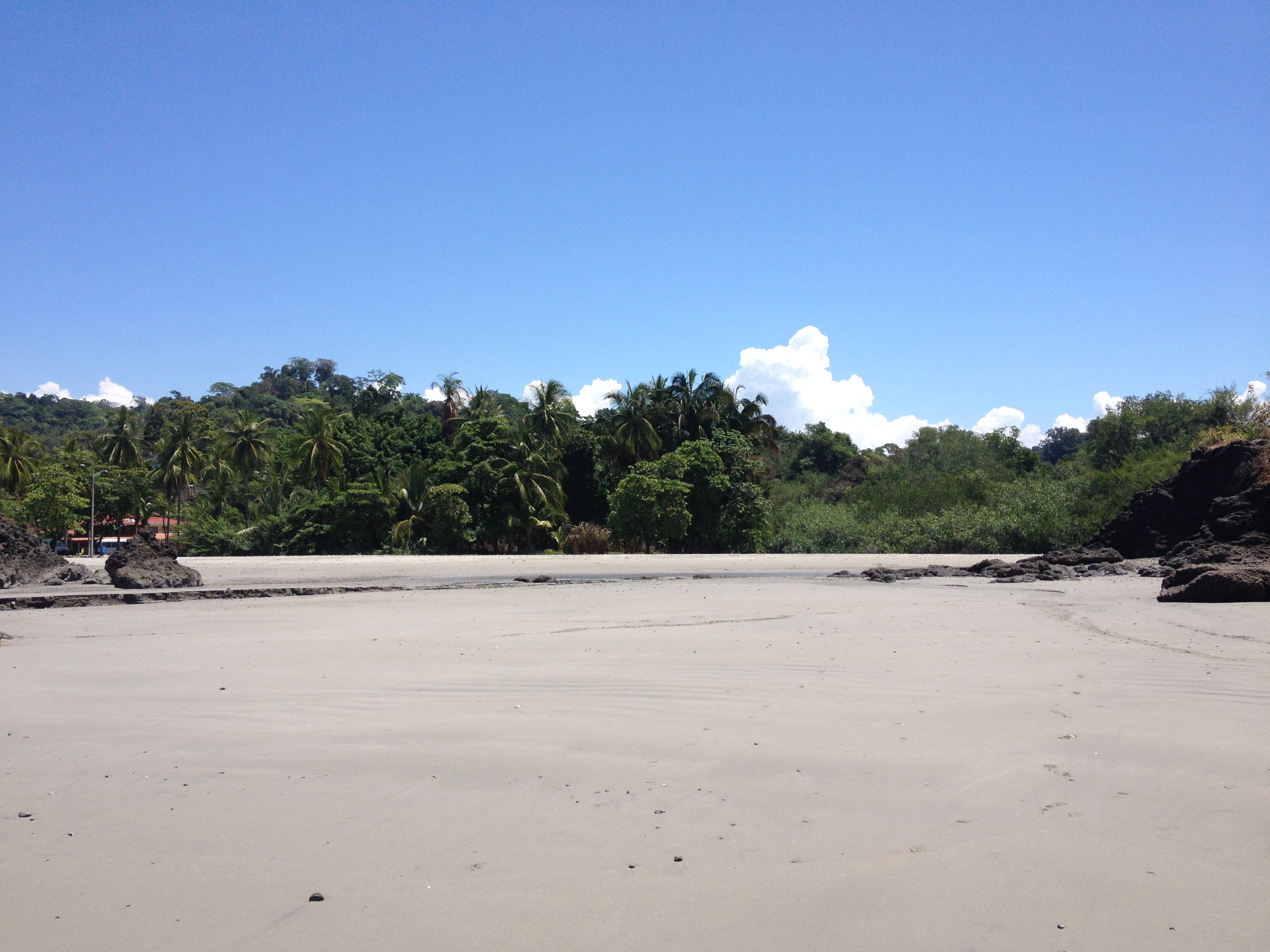 照片 哥斯达黎加(Costa Rica) 曼努埃尔安东尼奥(Manuel Antonio) 2015-03 77
