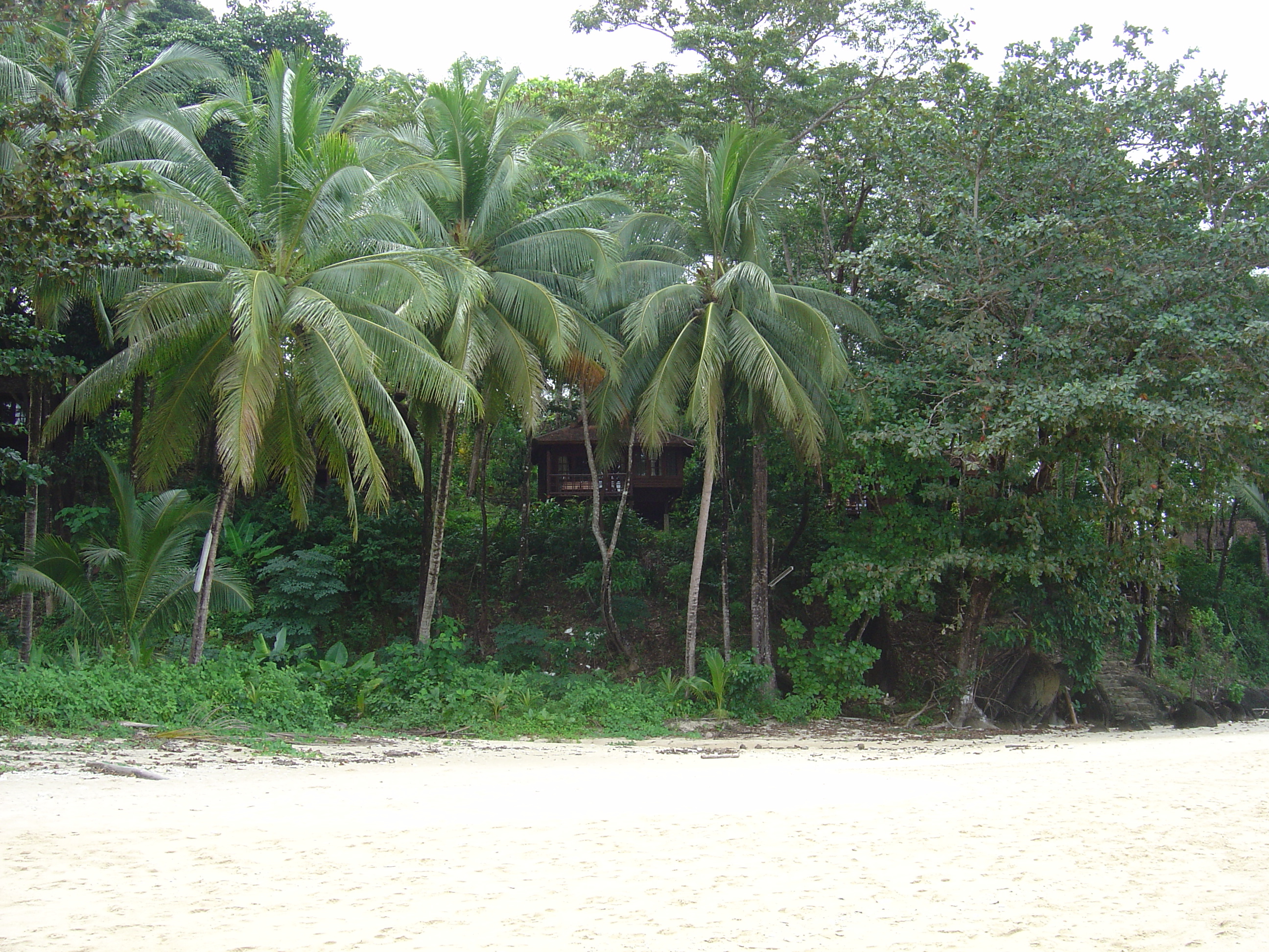 照片 泰国(Thailand) 考拉(Khao Lak) 邦萨海滩(Bang Sak Beach) 2005-12 7